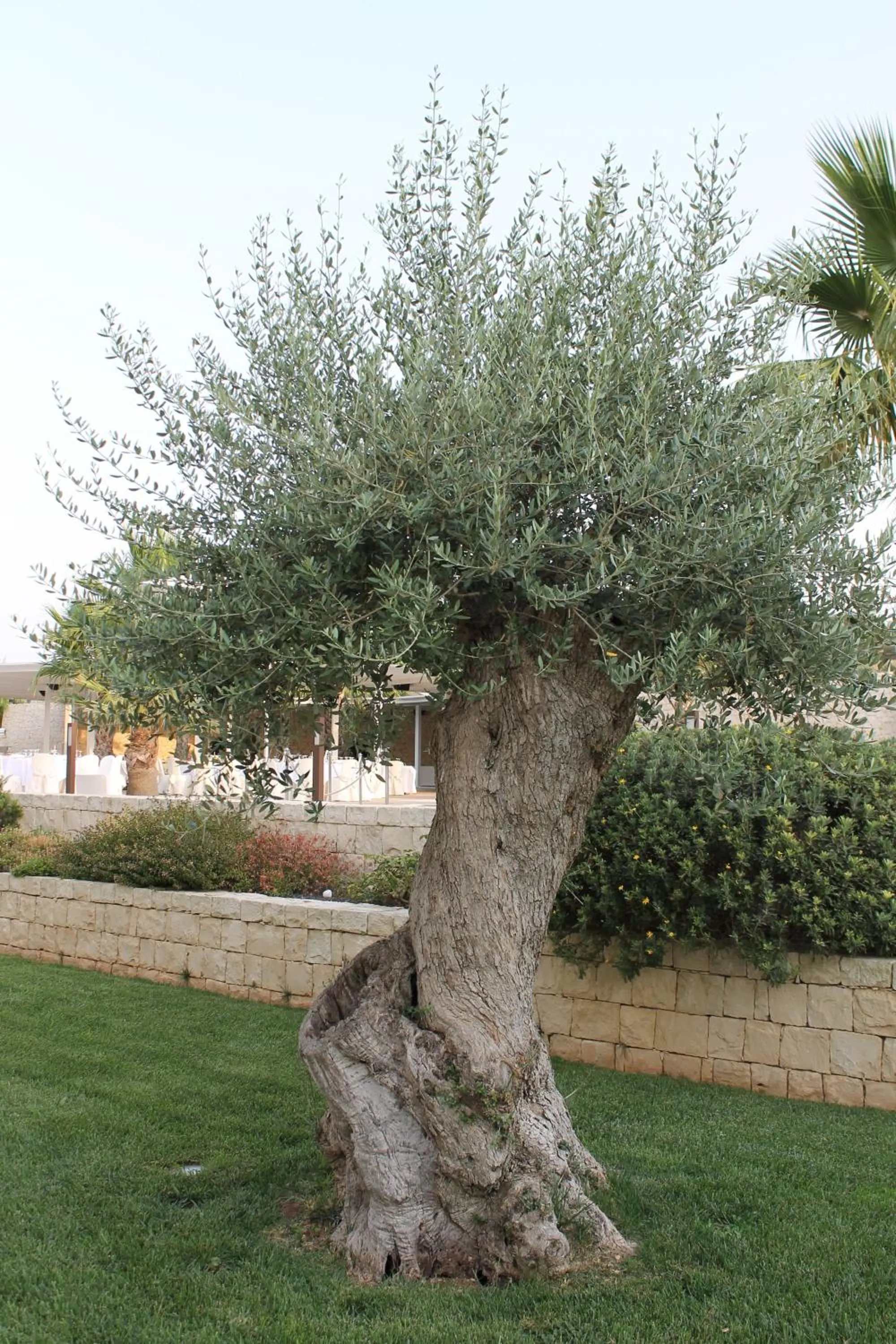 Garden in Pietre Nere Resort & Spa