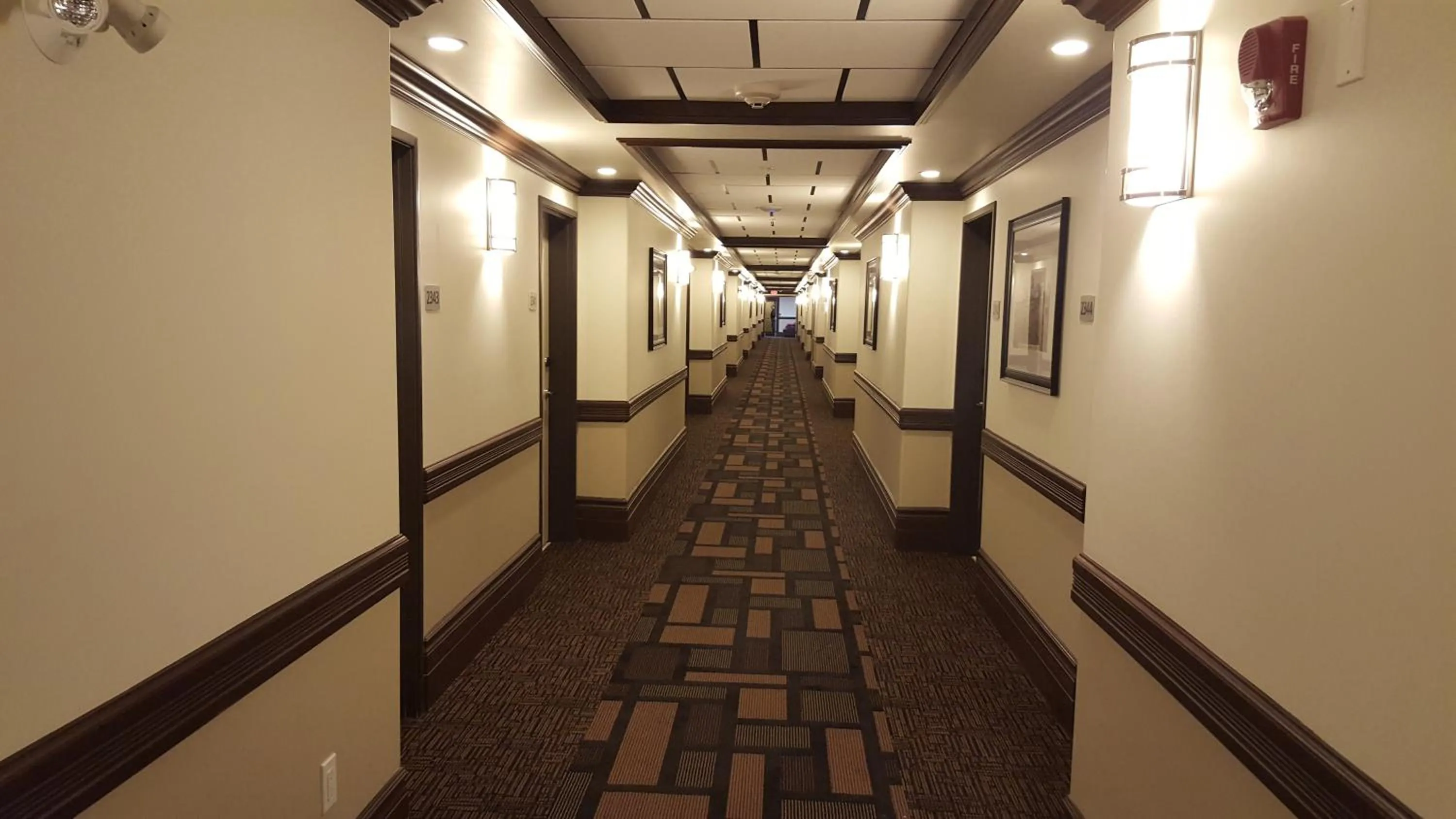 Area and facilities in Kindersley Inn