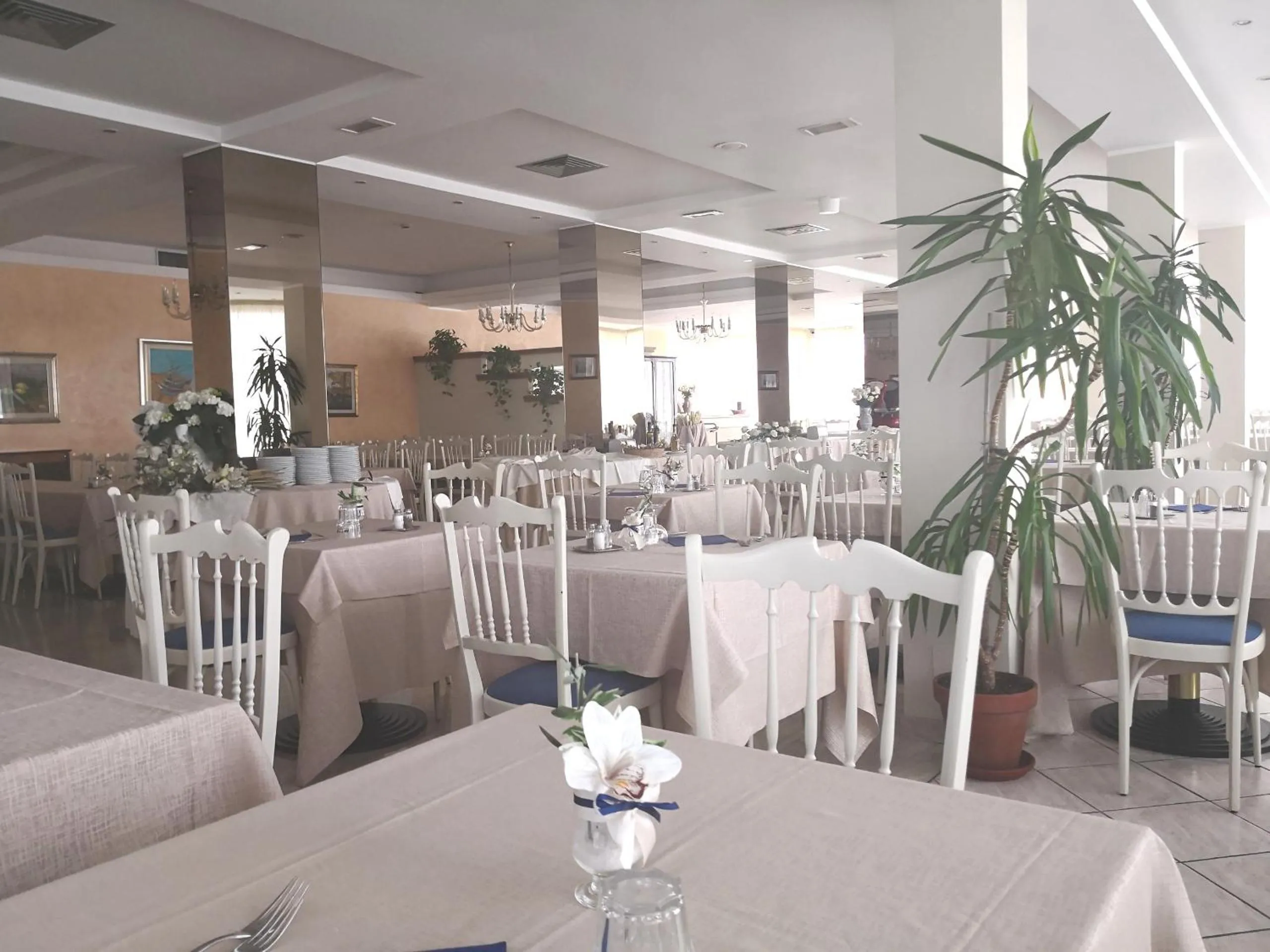 Restaurant/places to eat in Hotel De Amicis