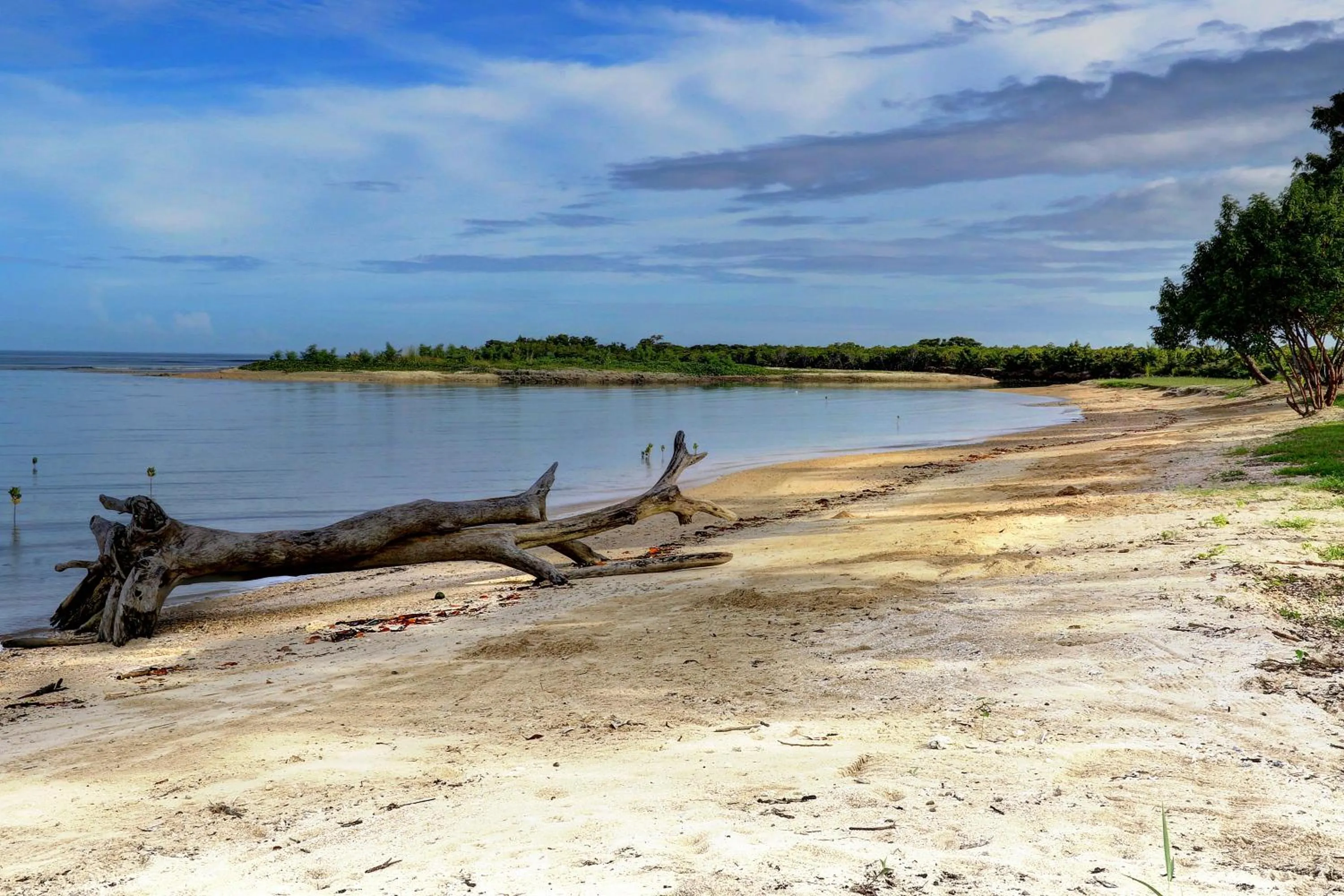 Natural landscape in Parkside Nila Beach Resort