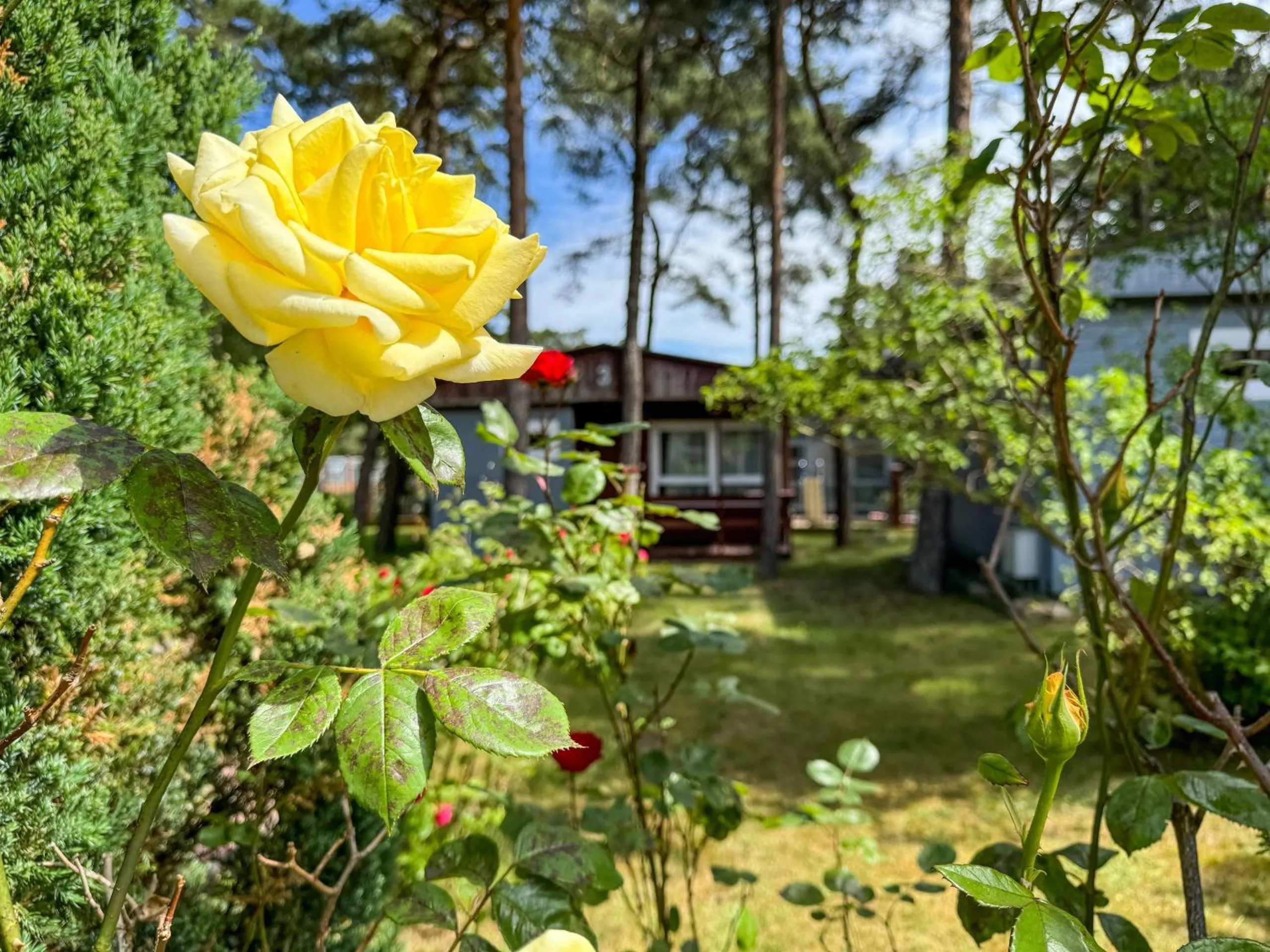 Dom Wypoczynkowy Słoneczna