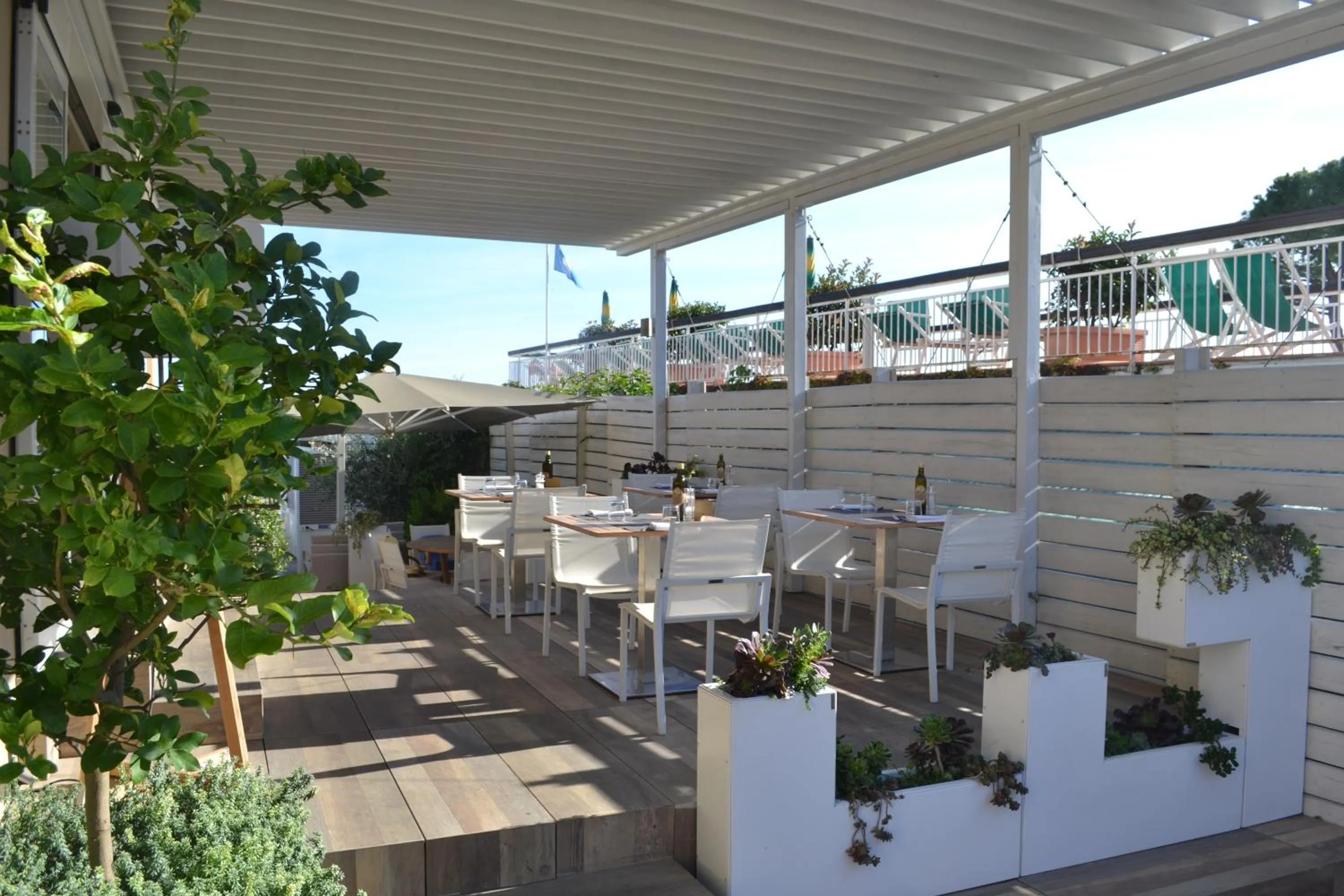 Restaurant/places to eat in Hotel La Baia