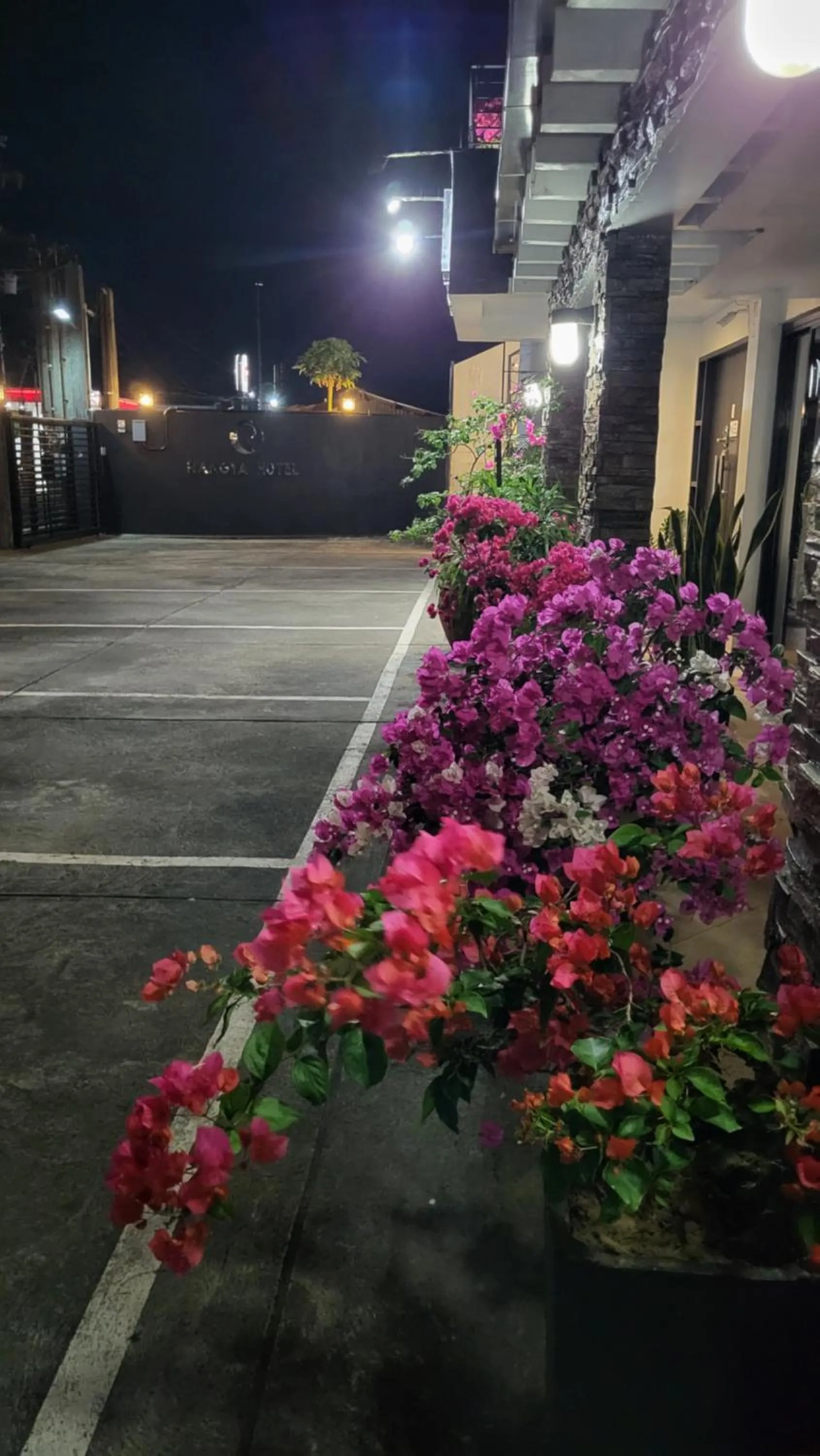 Garden in Rangya Hotel