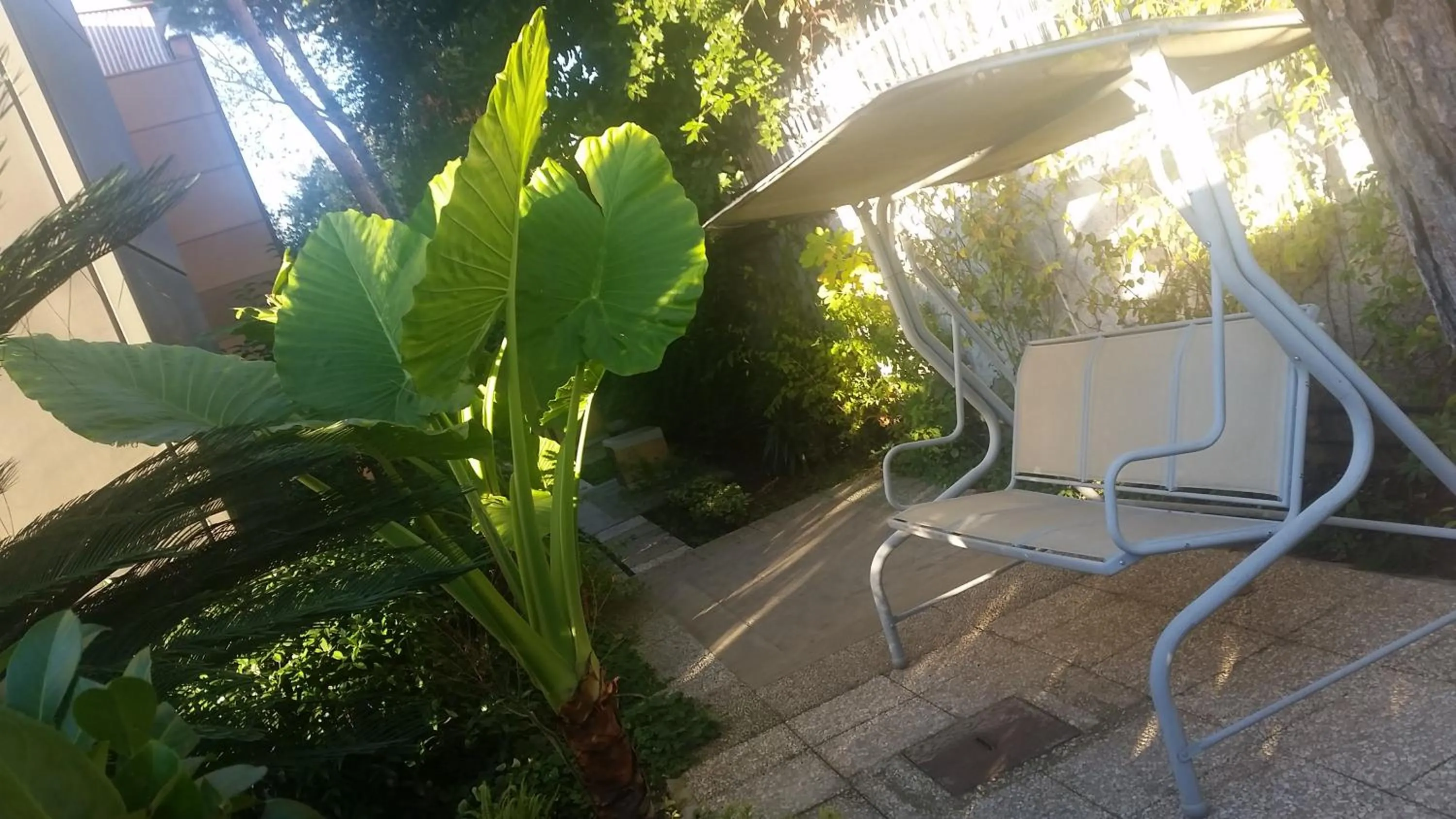 Garden view in Hotel Desiderio