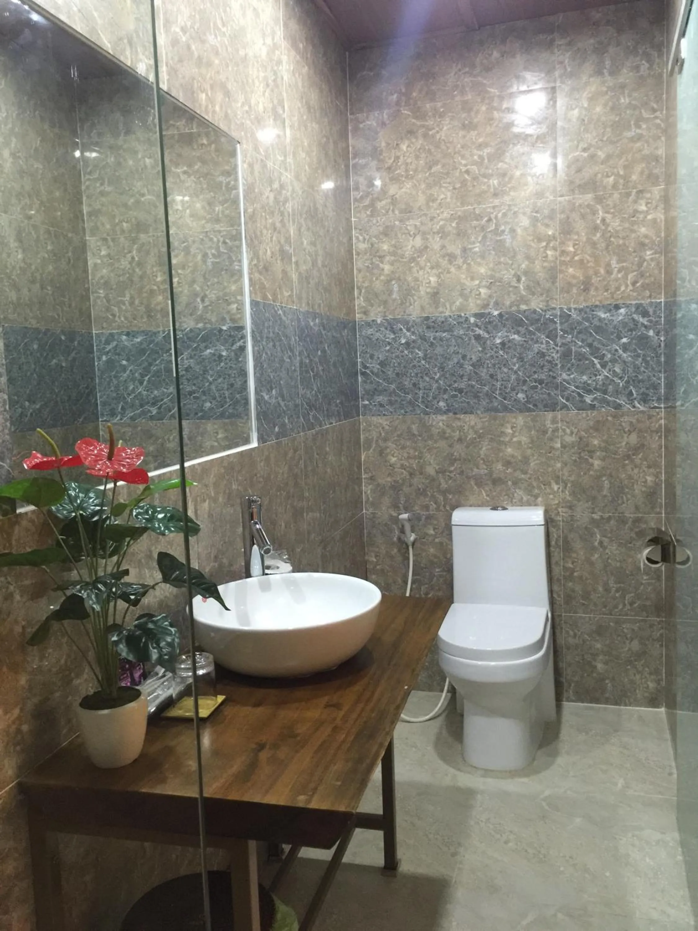 Toilet in Terra Cotta Homestay