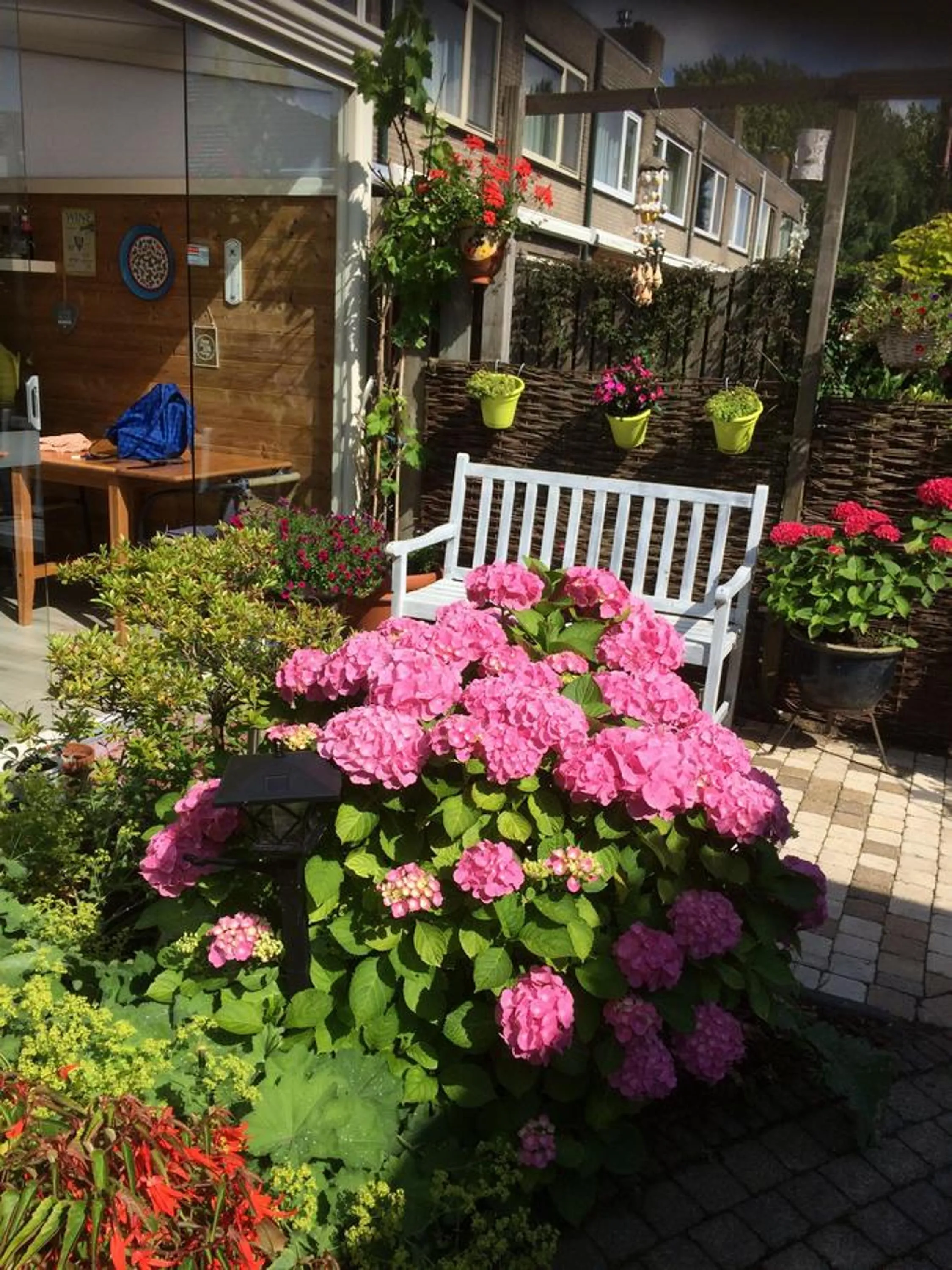 Garden in Bed and Breakfast Ineke en John