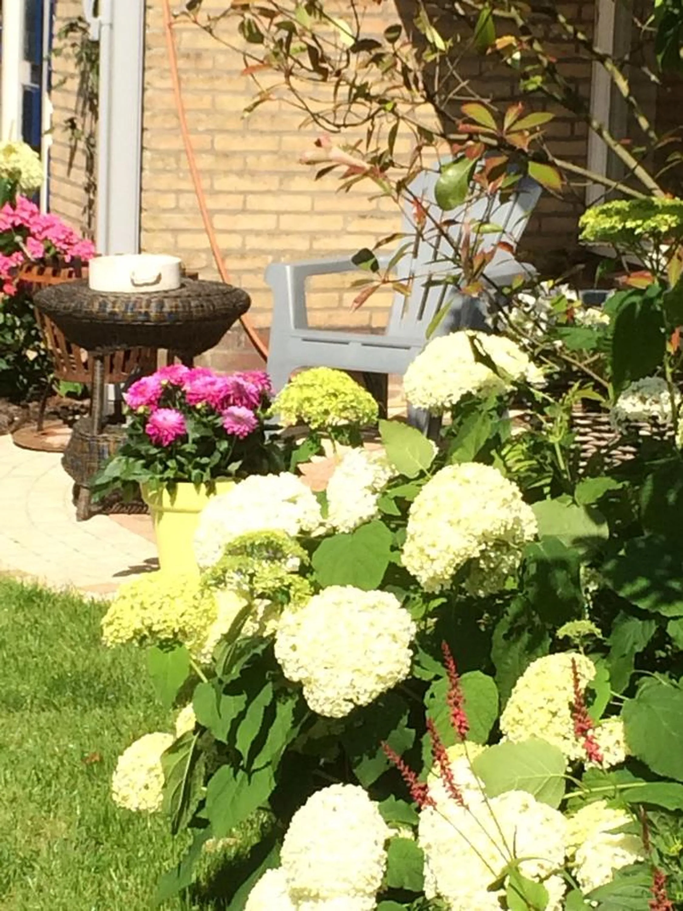 Spring in Bed and Breakfast Ineke en John