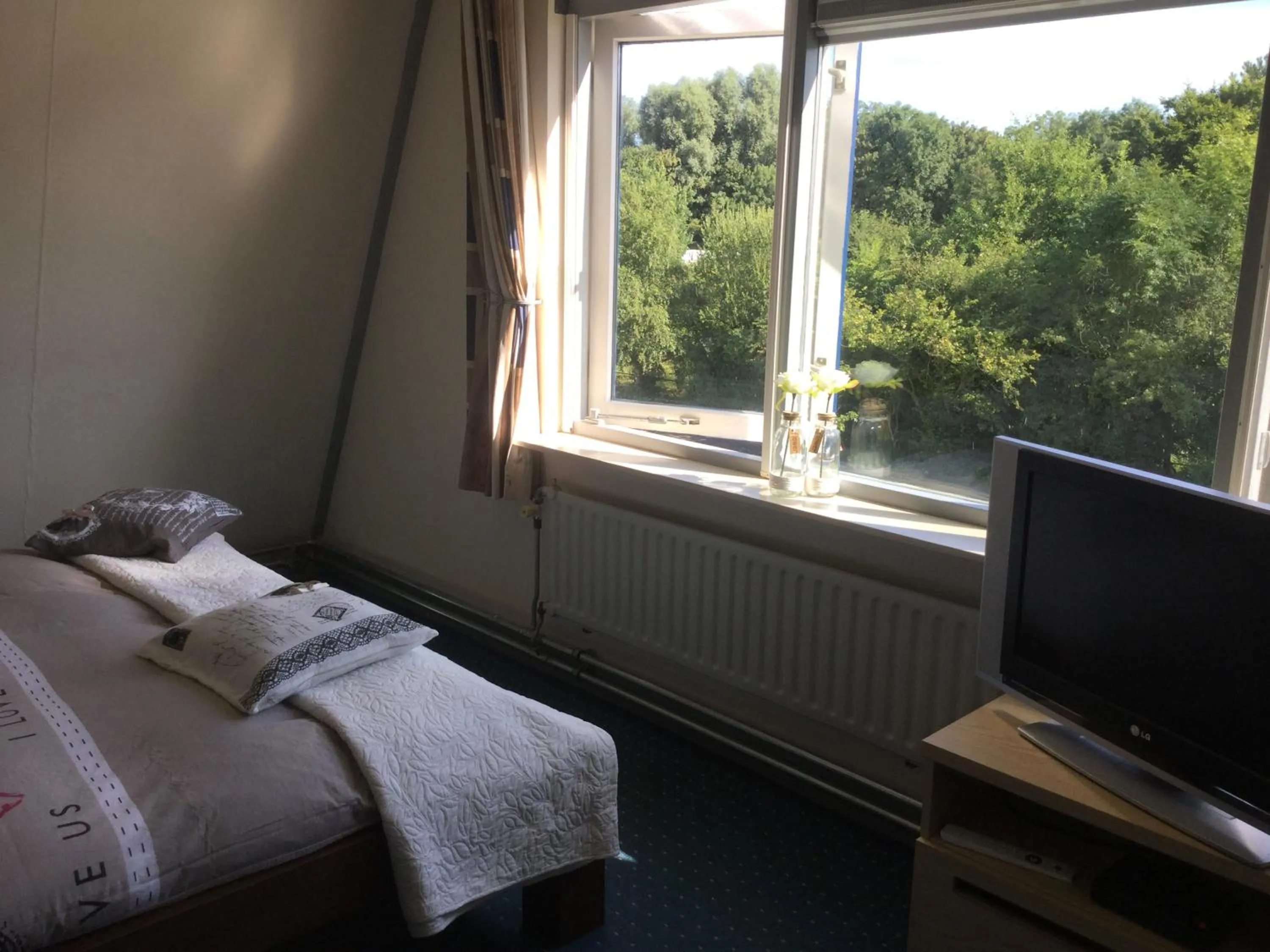 Street view, Bed in Bed and Breakfast Ineke en John