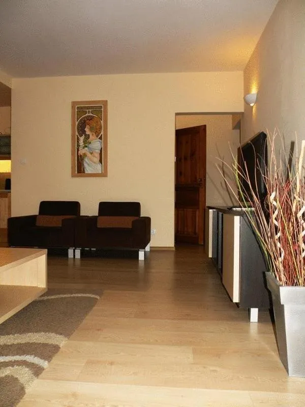 Living room in Aparthouse