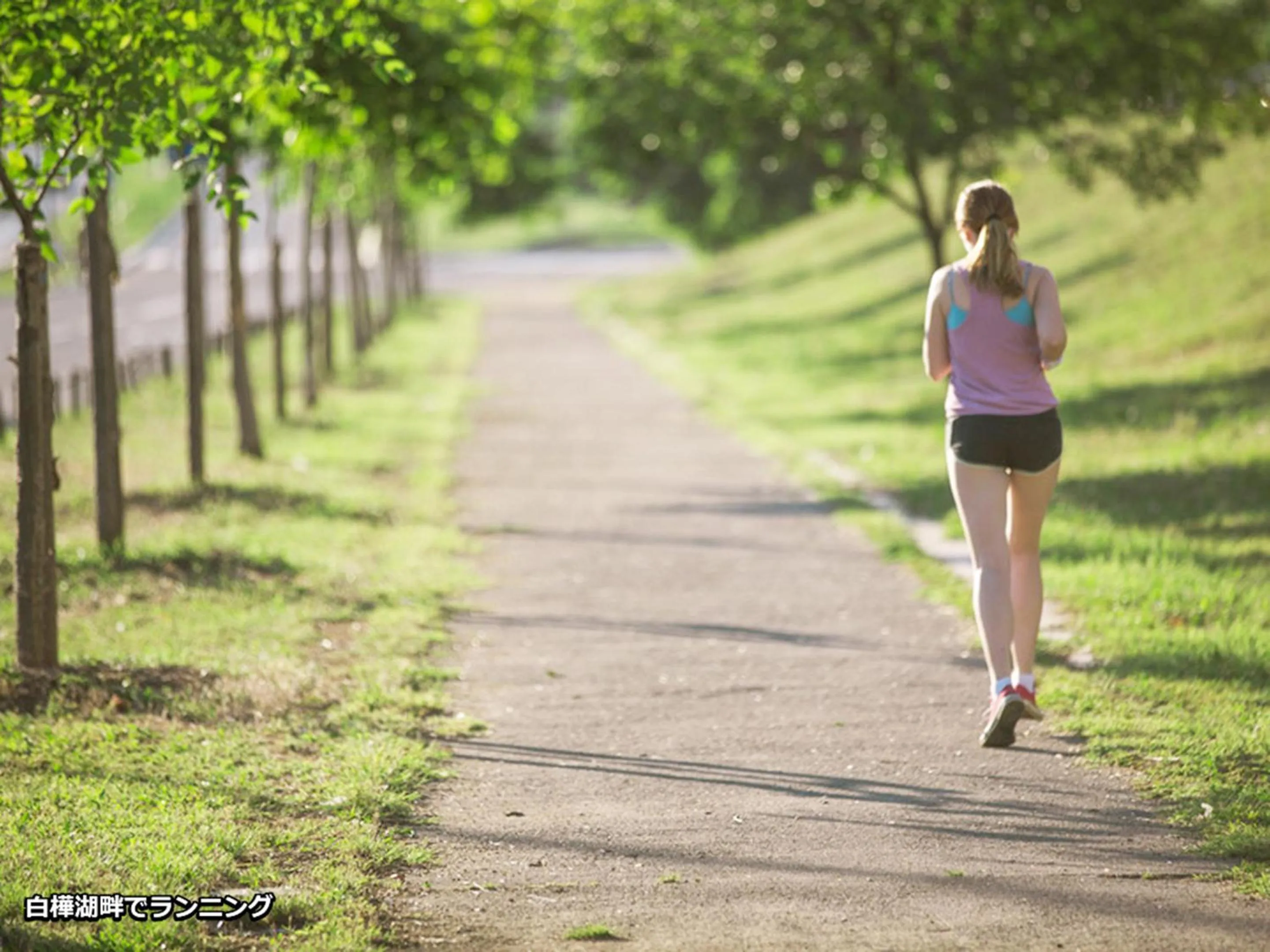 Off site in Kimimachisou