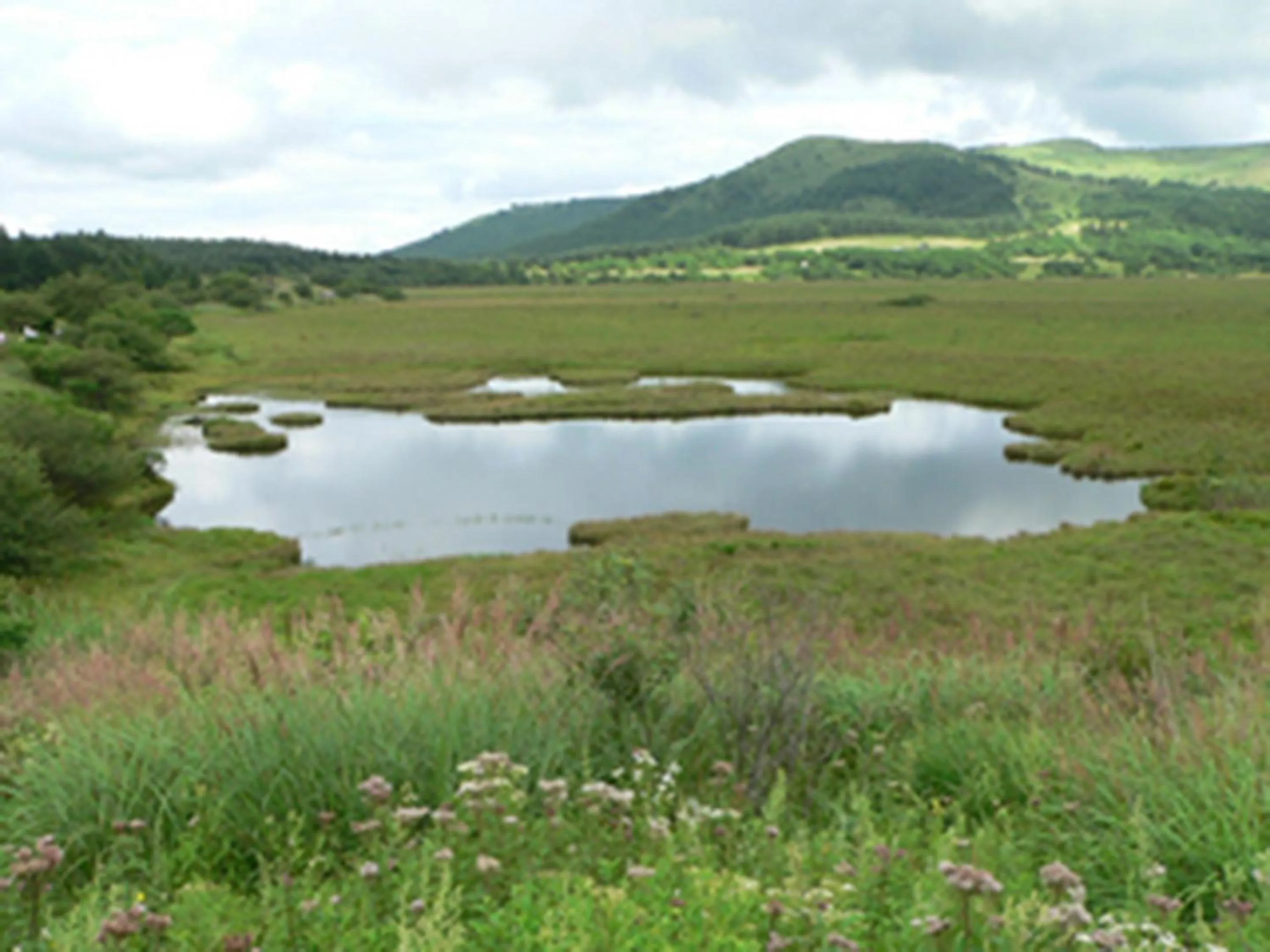 Nearby landmark in Kimimachisou