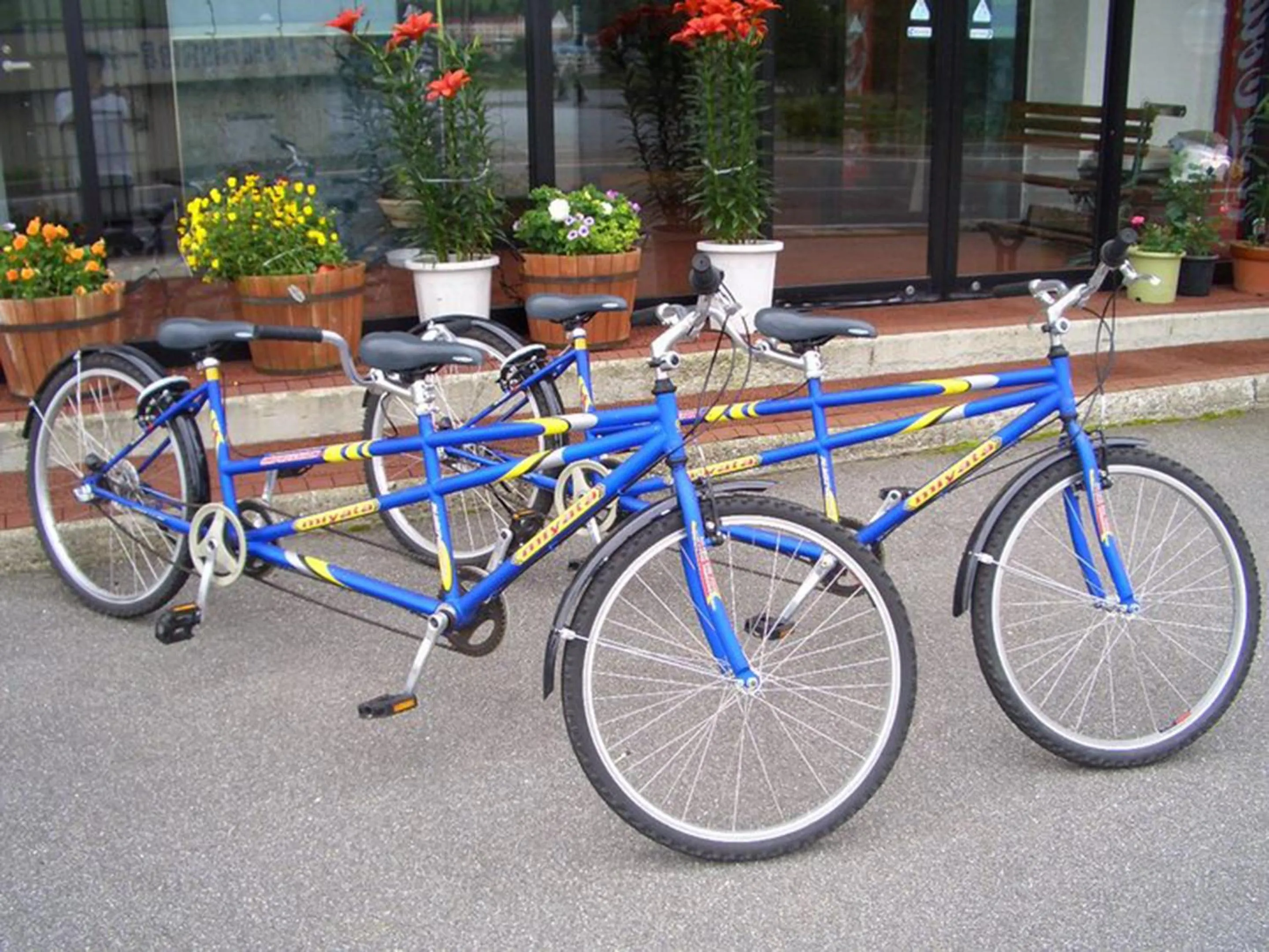 Off site in Kimimachisou