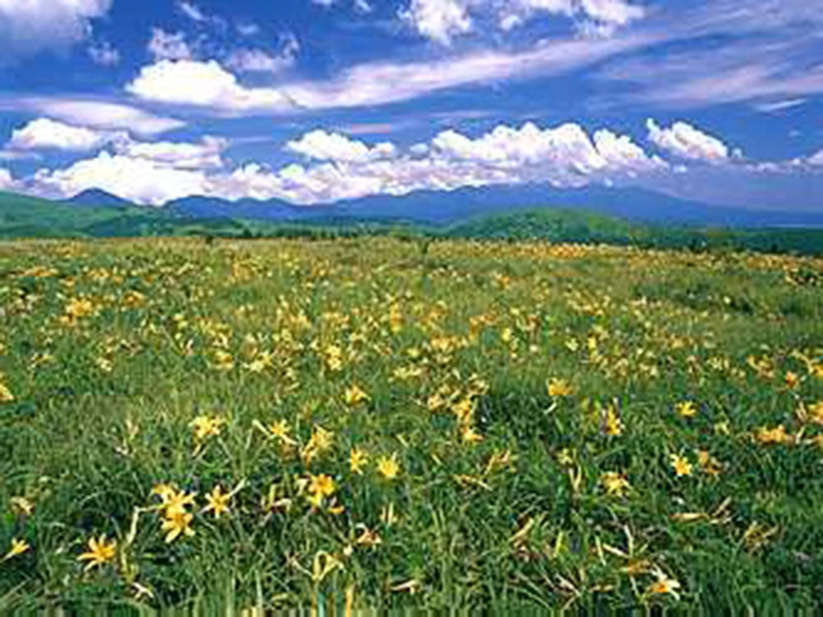 Nearby landmark in Kimimachisou