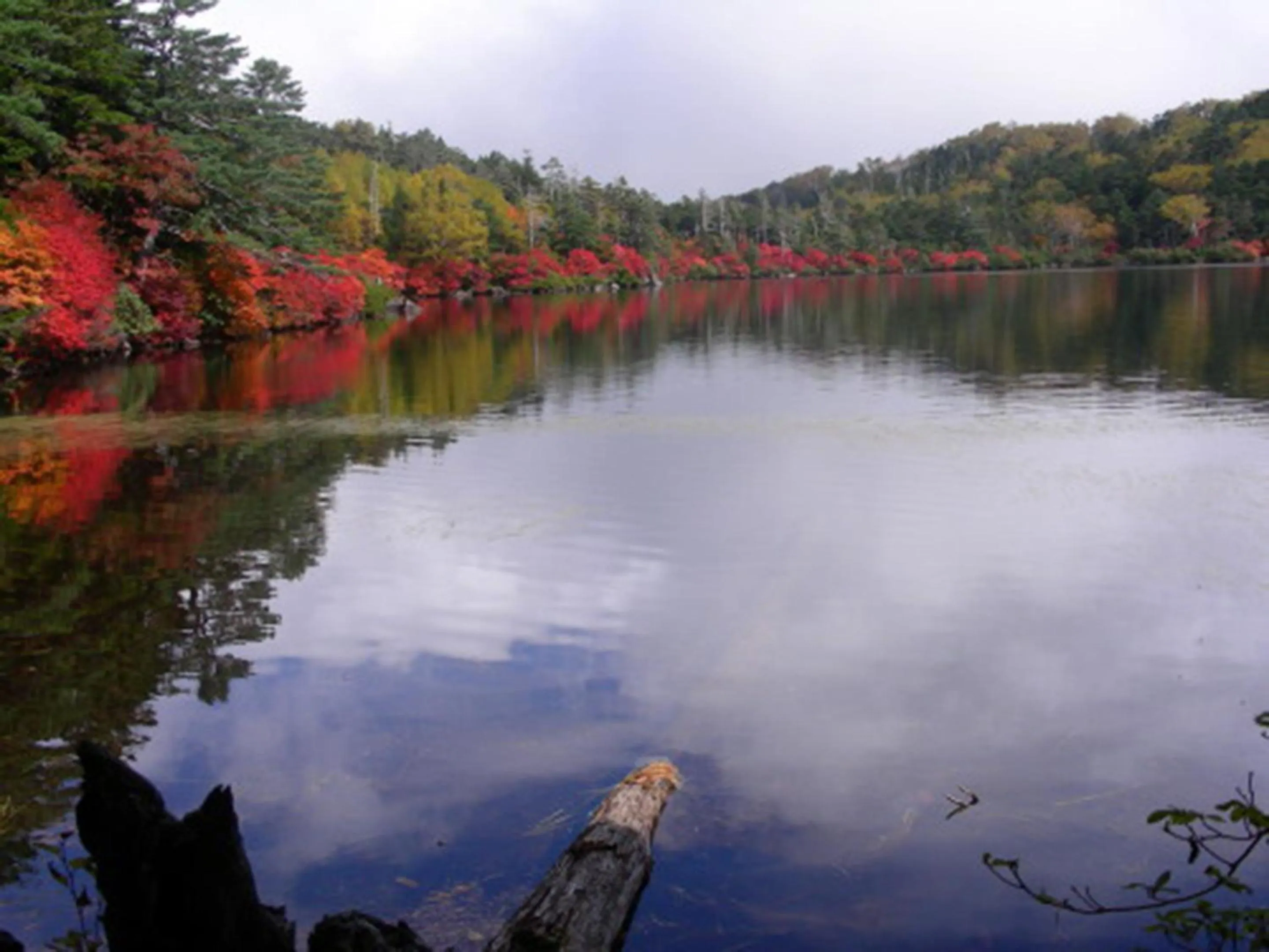 Nearby landmark in Kimimachisou