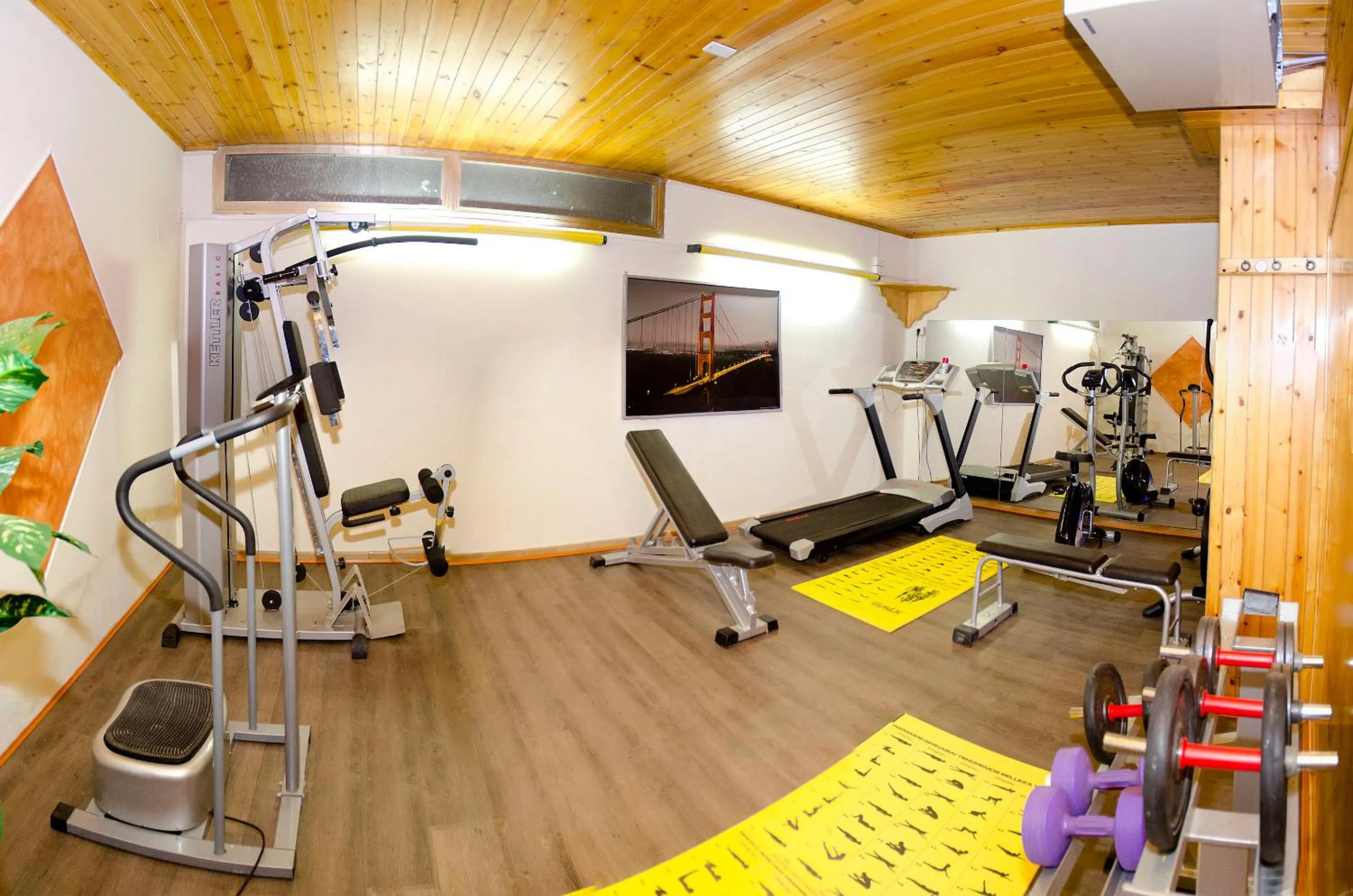 Fitness centre/facilities in Hotel Apollo