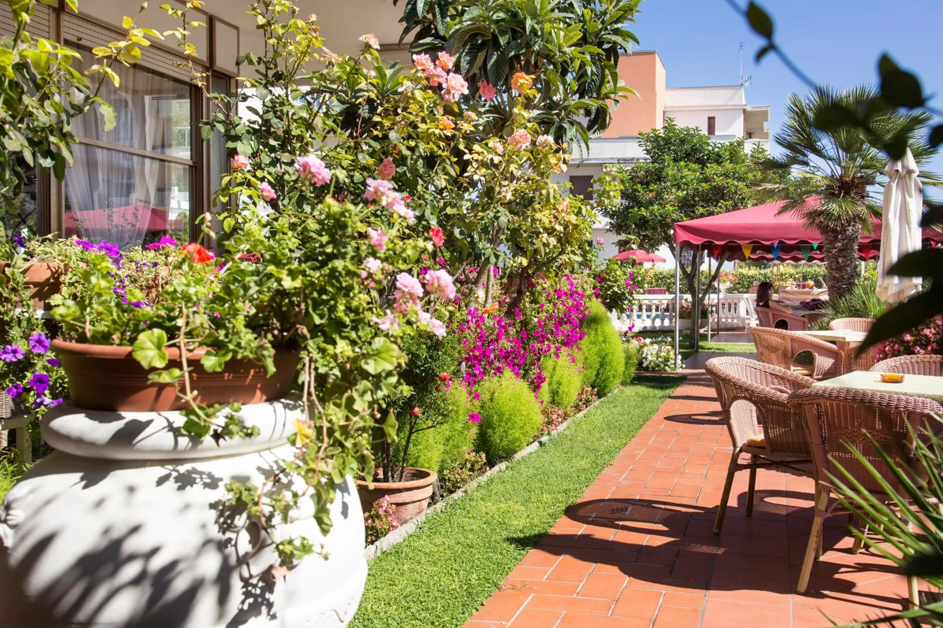 Garden in Hotel Apollo