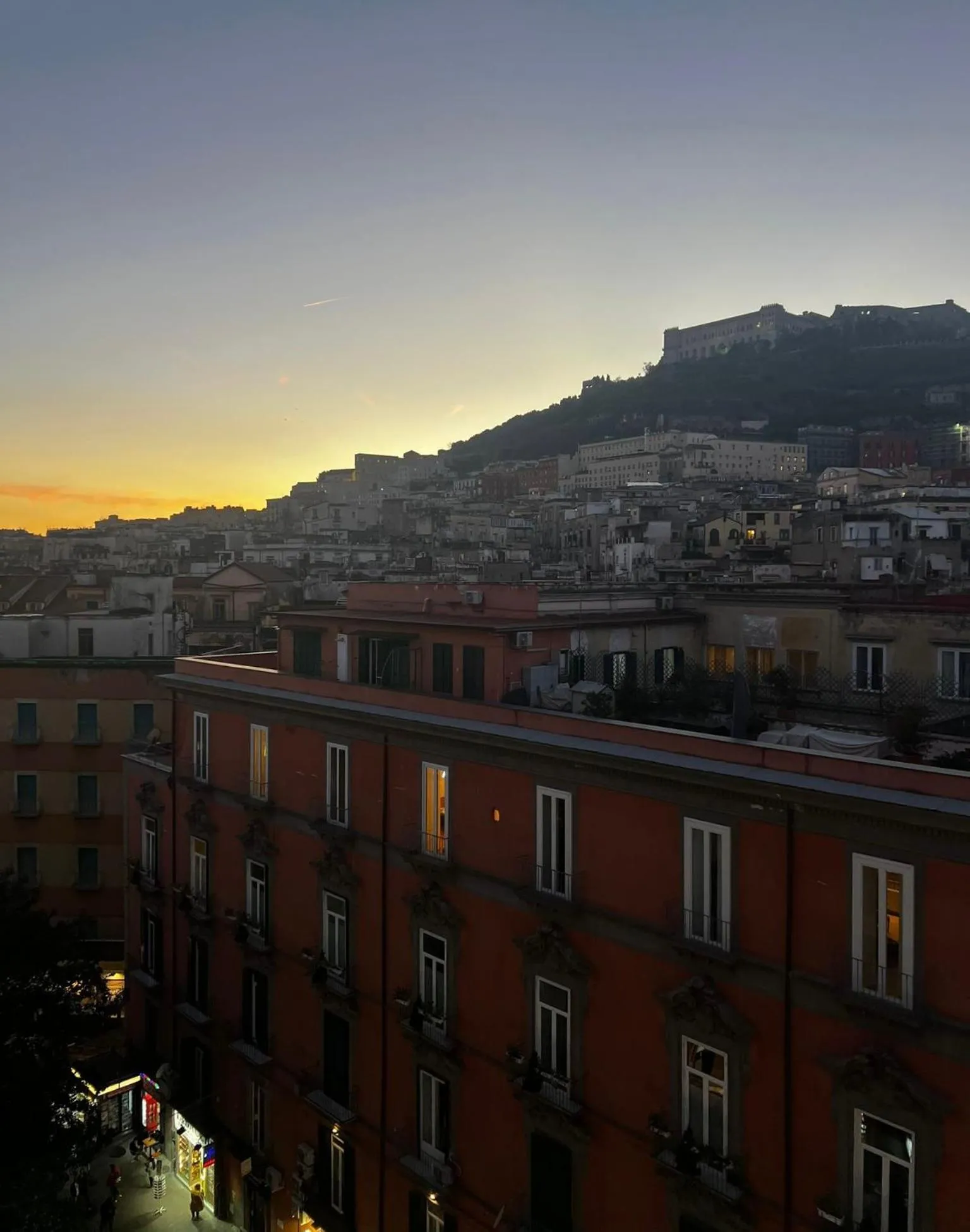 View (from property/room) in Salotto Borbonico