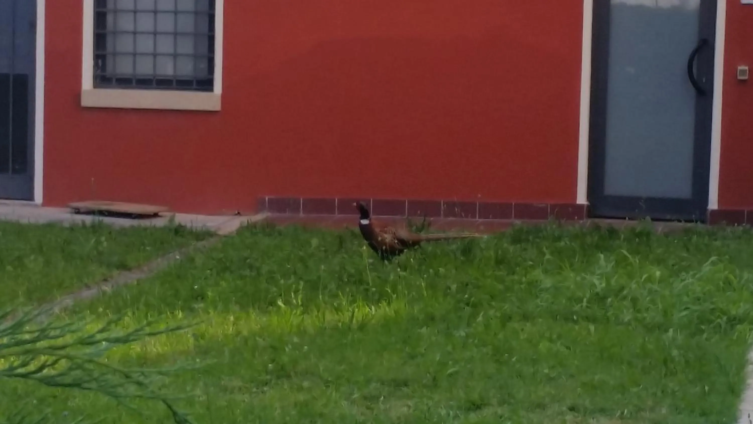 Property building in Locanda Veneta