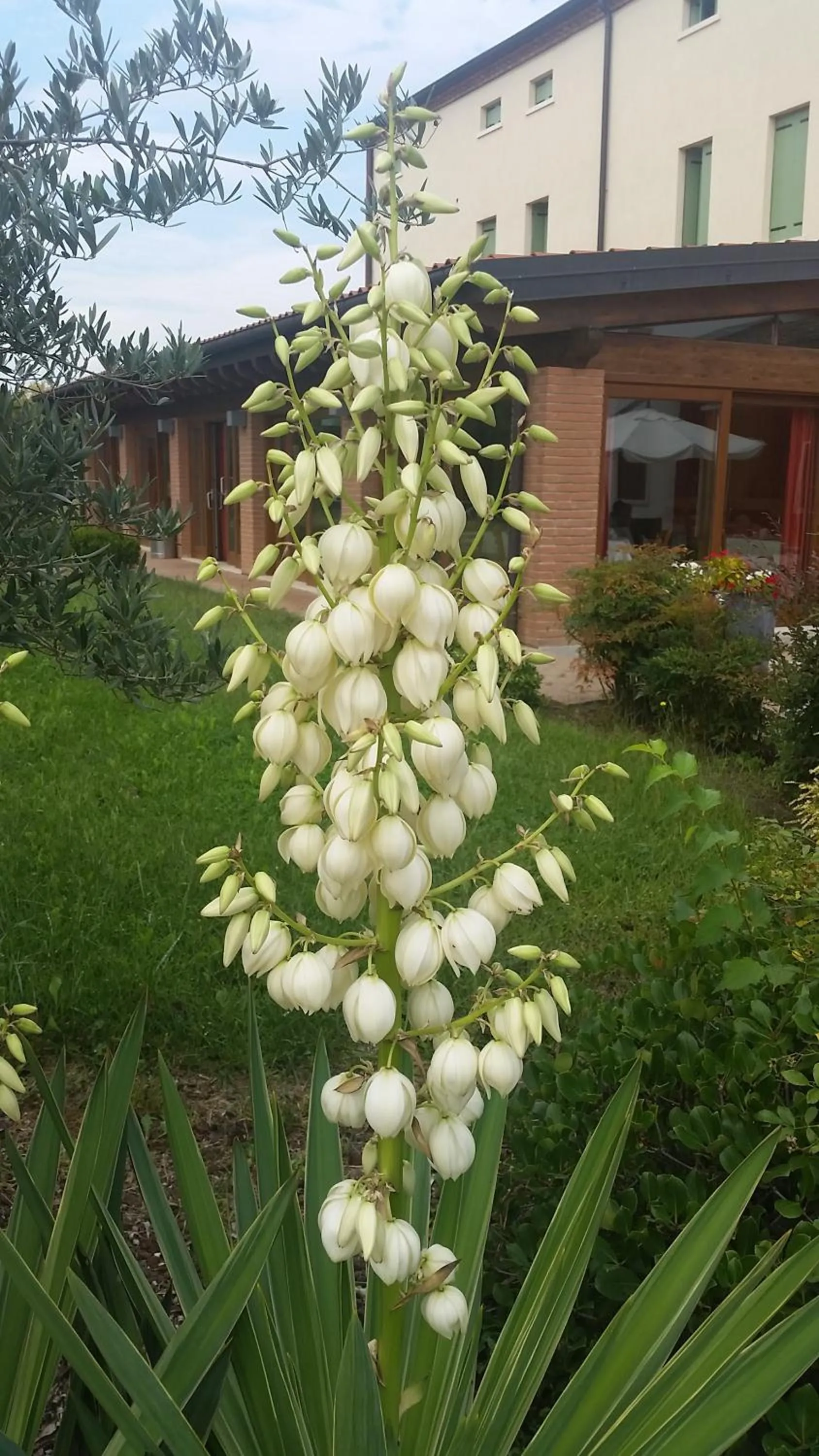 Property building in Locanda Veneta