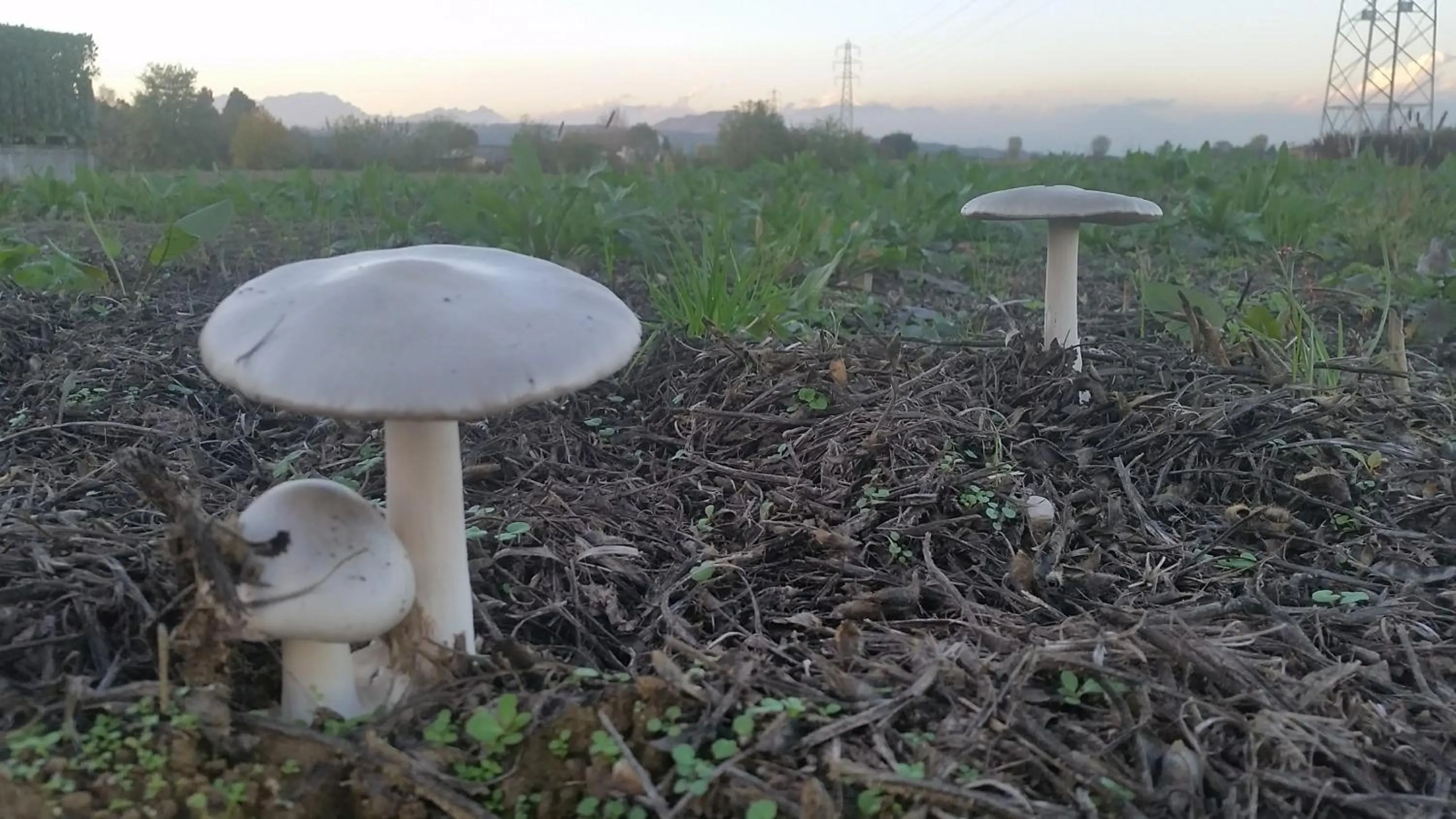 On site in Locanda Veneta