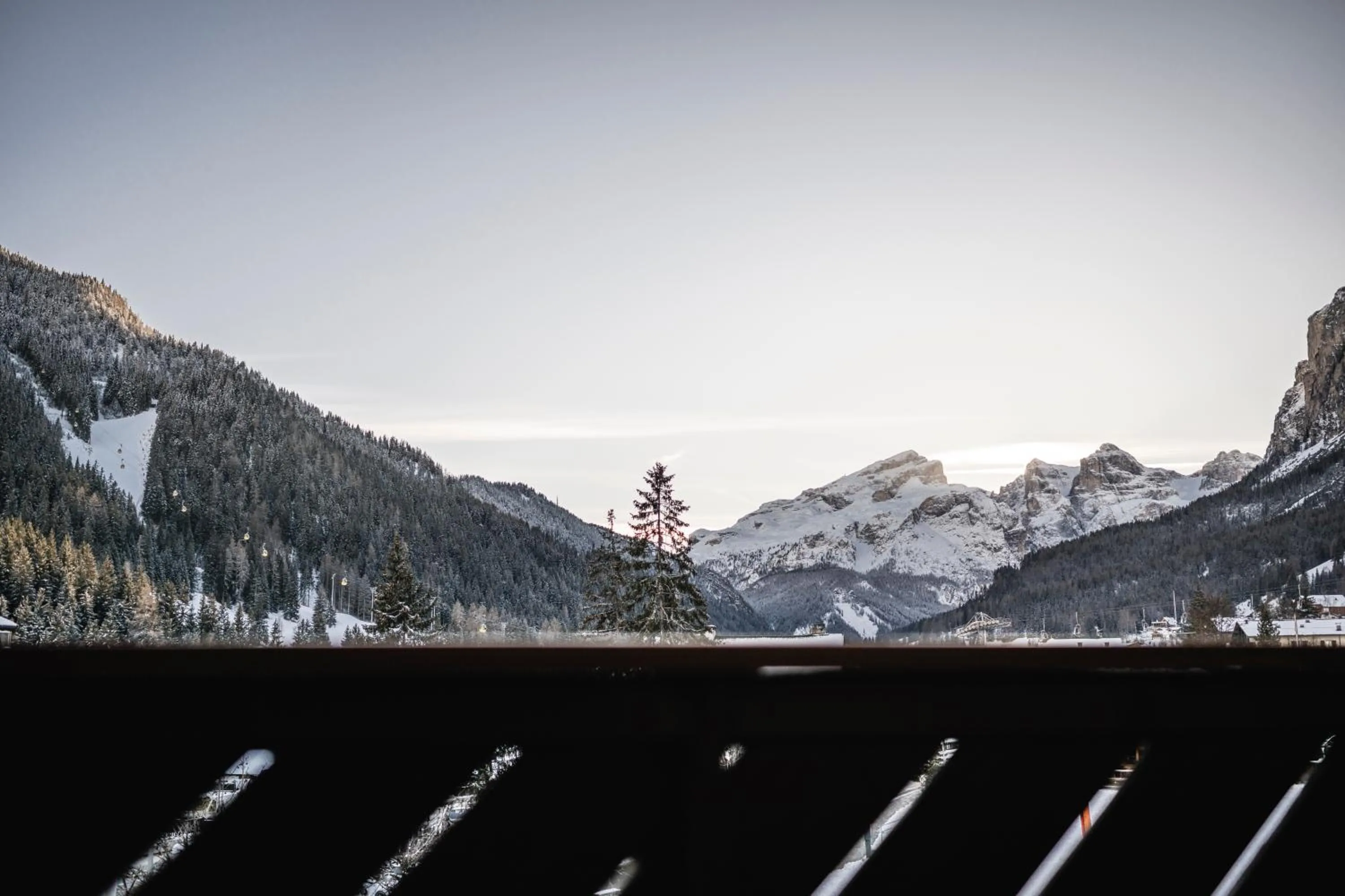 Natural landscape in Hotel Ladinia
