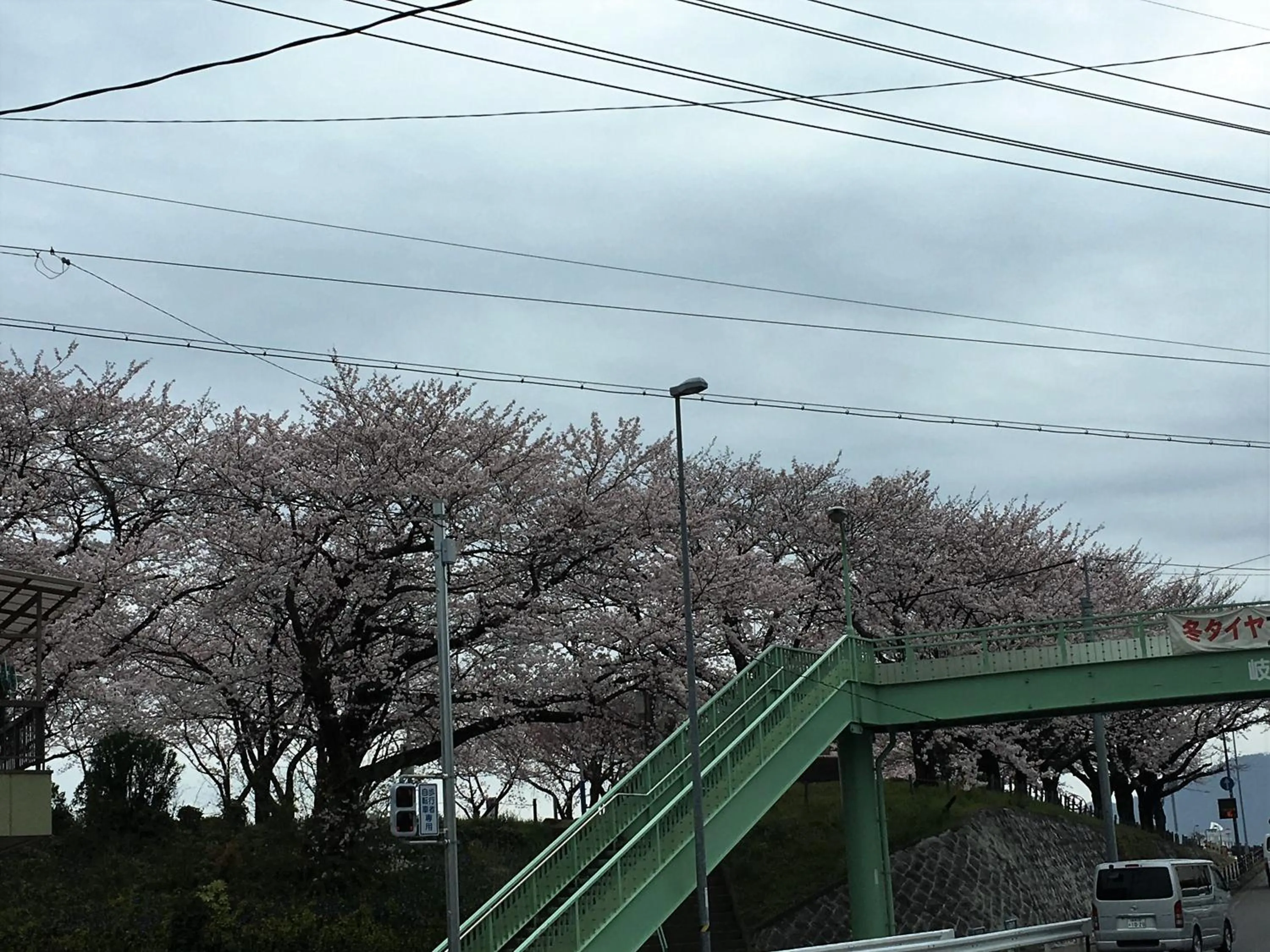 View (from property/room) in Guesthouse Kiten