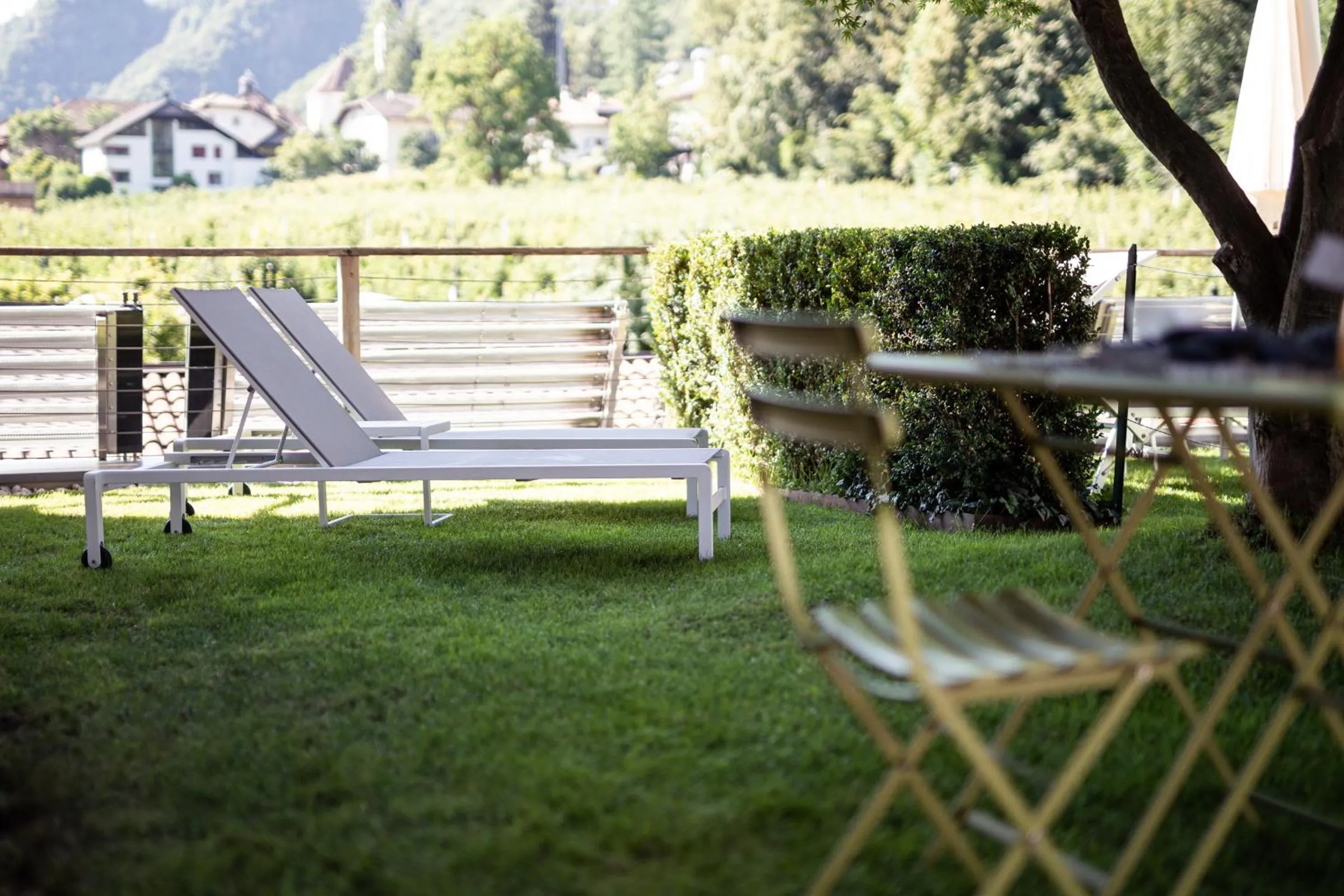 Garden in Boutique Hotel Zum Rosenbaum