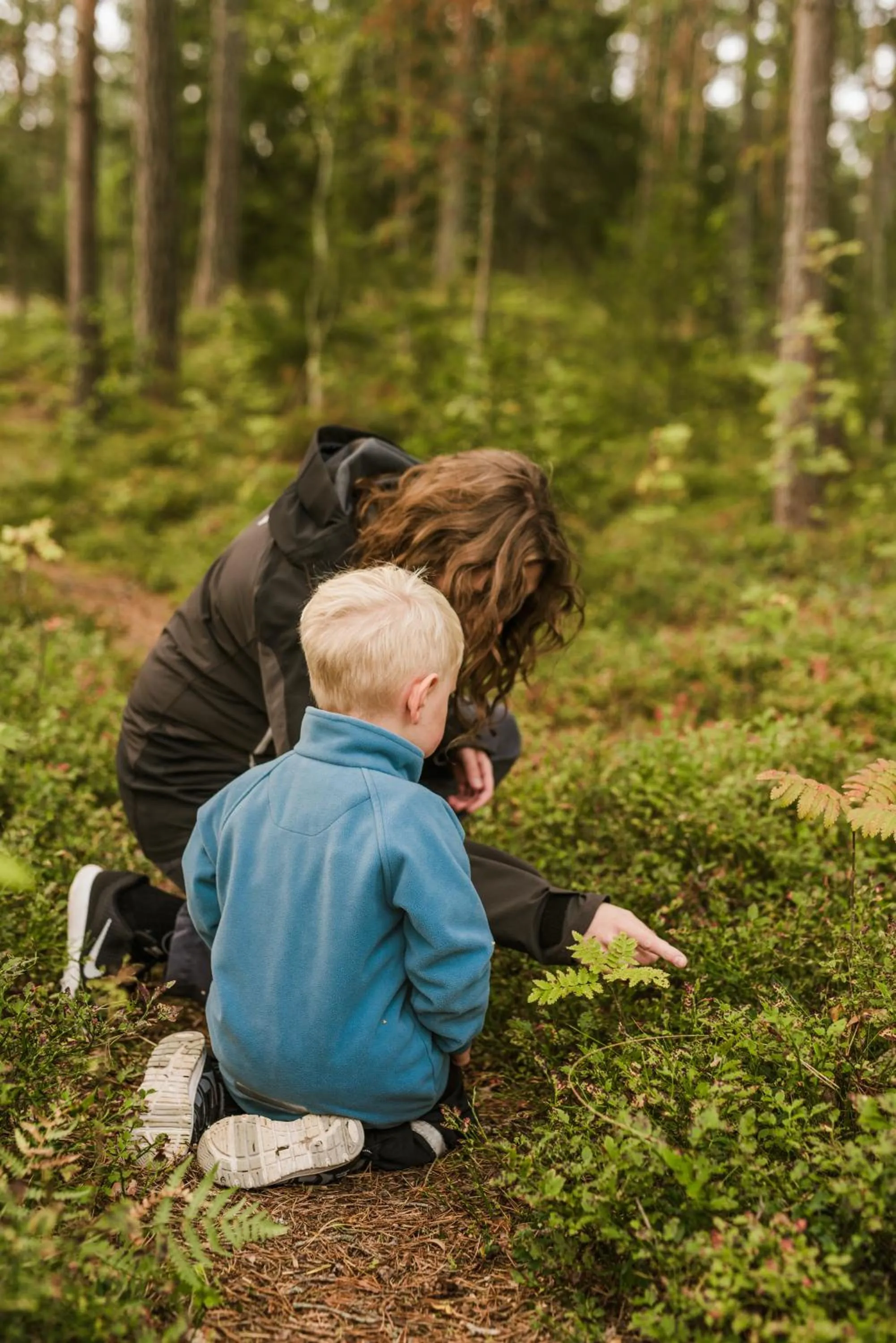 Natural landscape in First Camp Duse Udde - Säffle