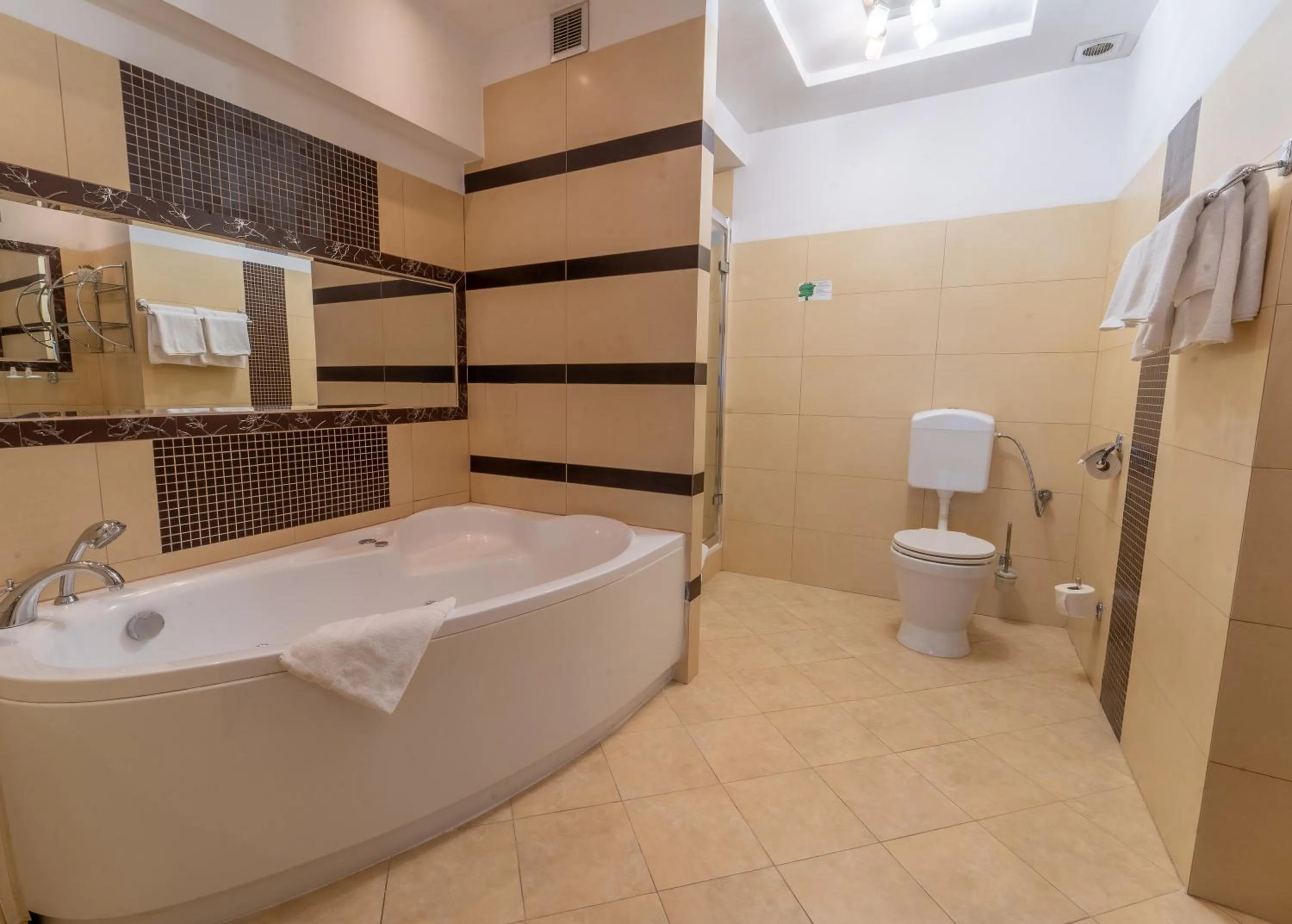 Shower in Hotel Polski