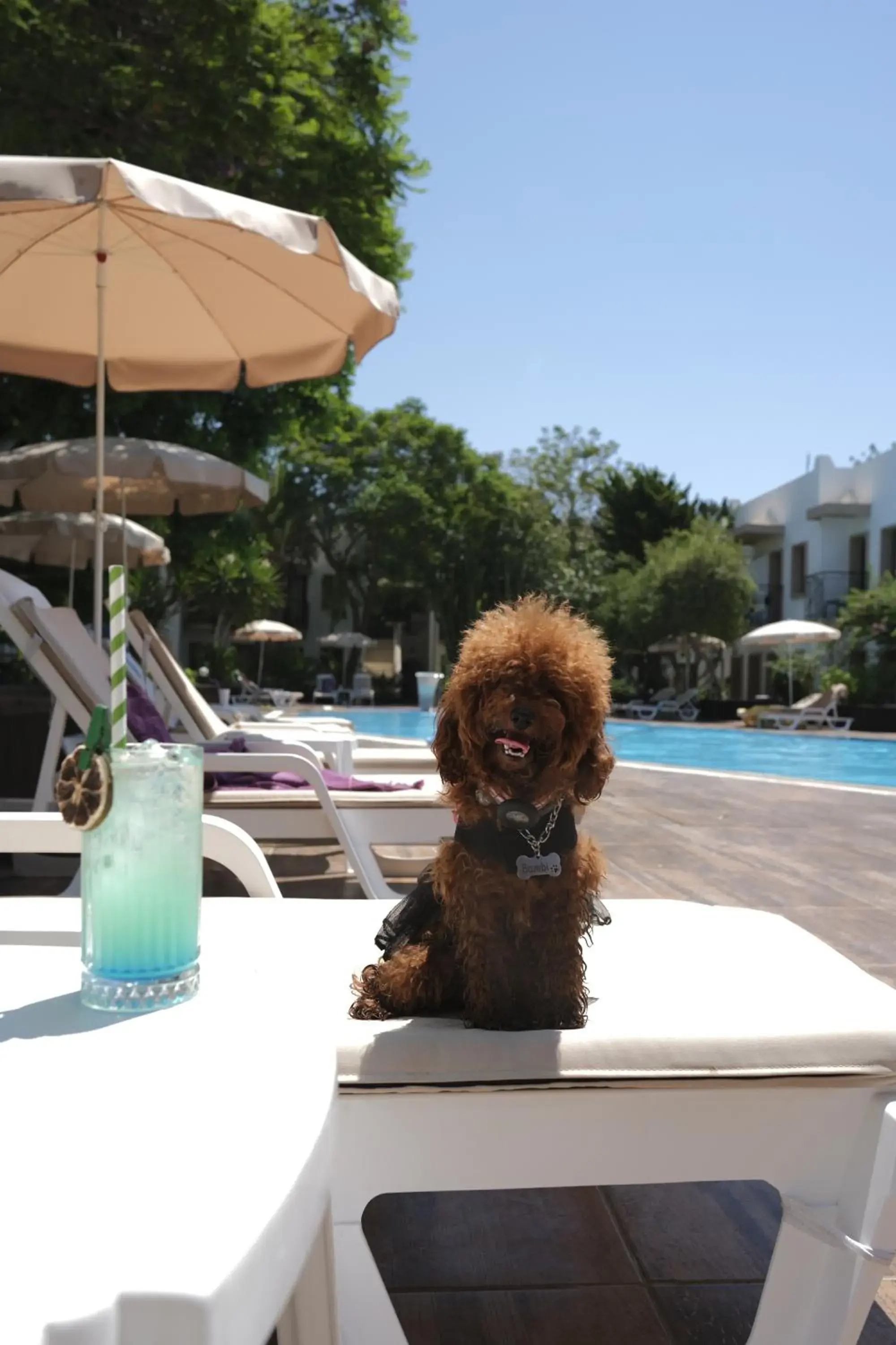 Flora Hotel Flora Hotel