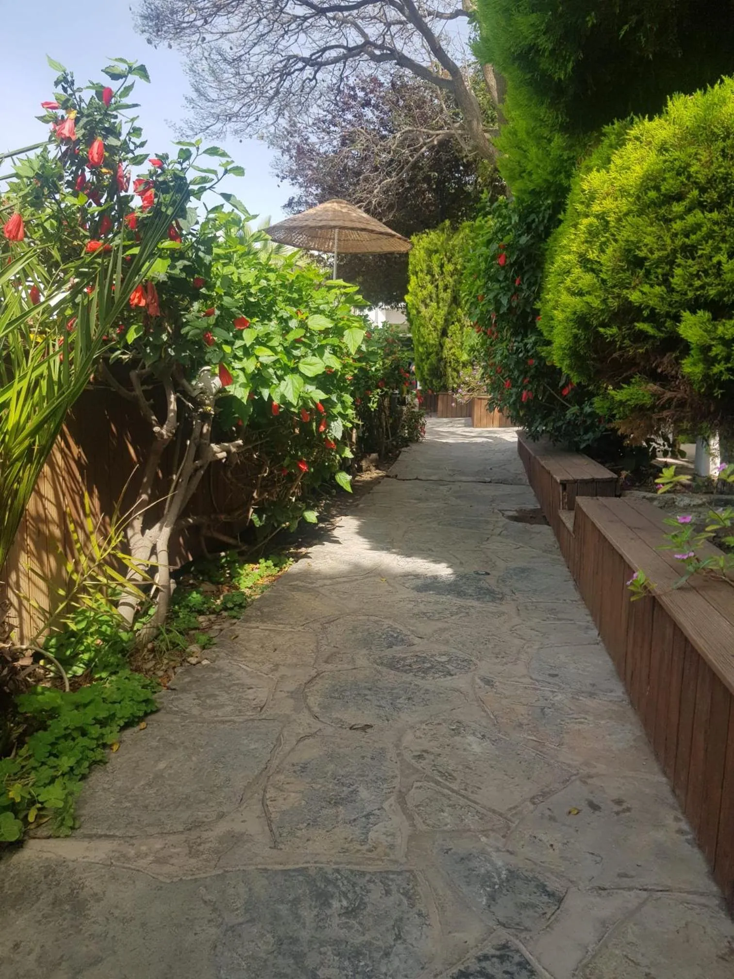 Spring in Flora Hotel