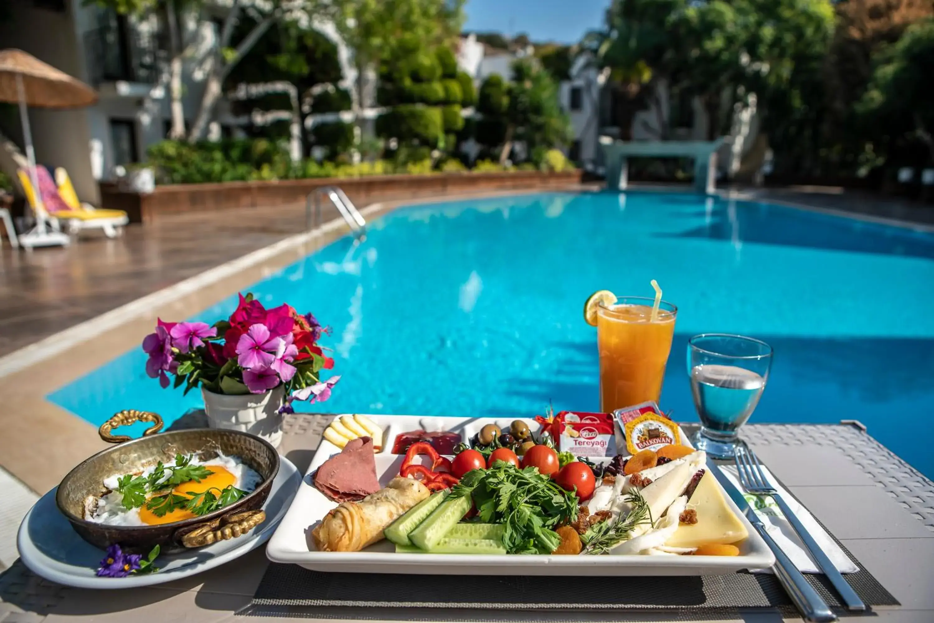 Restaurant/places to eat in Flora Hotel Restaurant/places to eat in Flora Hotel