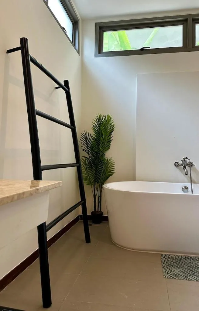 Villa Luma the best Modern Tropical Escape