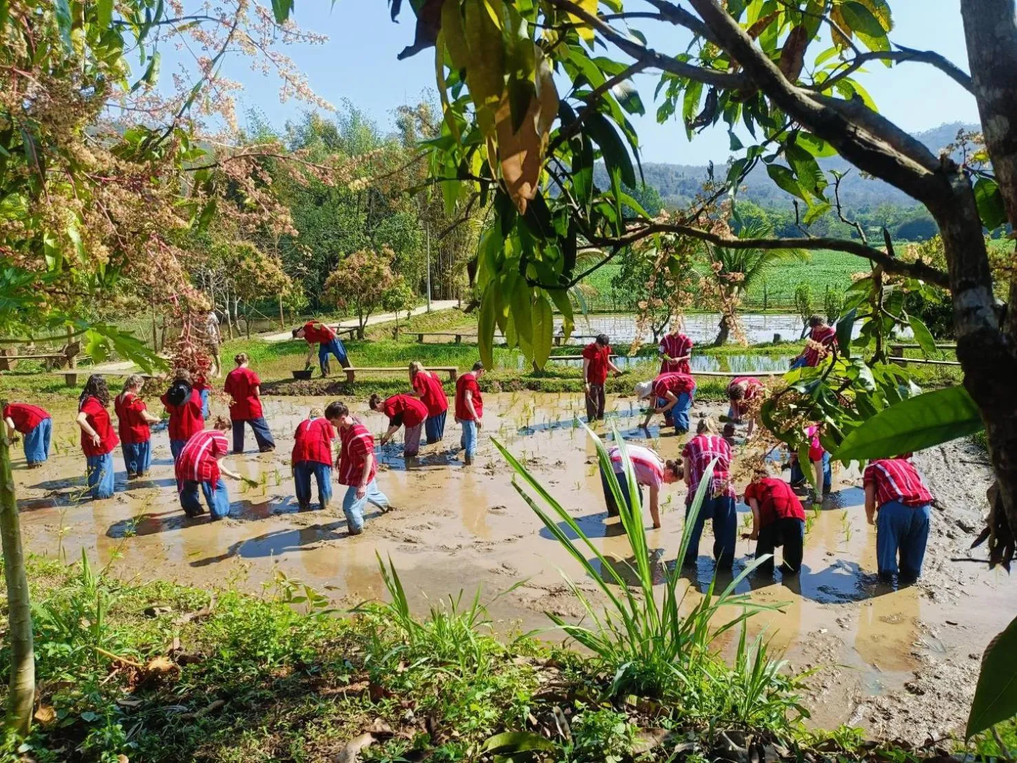 Activities in Maewin Resort