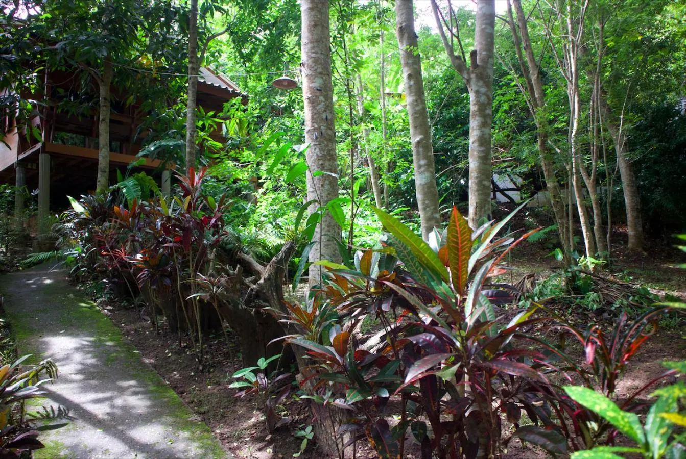 Garden in Maewin Guesthouse and Resort