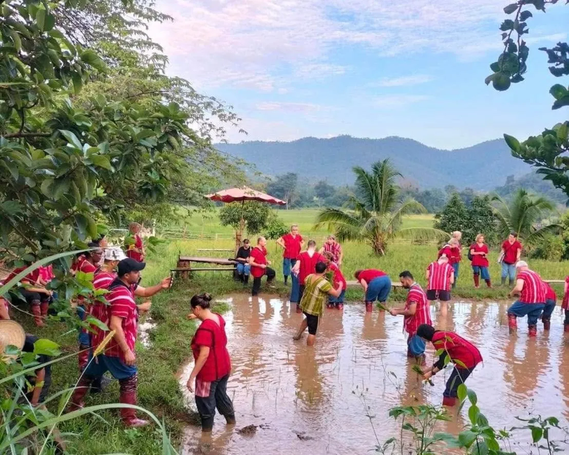 Activities in Maewin Guesthouse and Resort