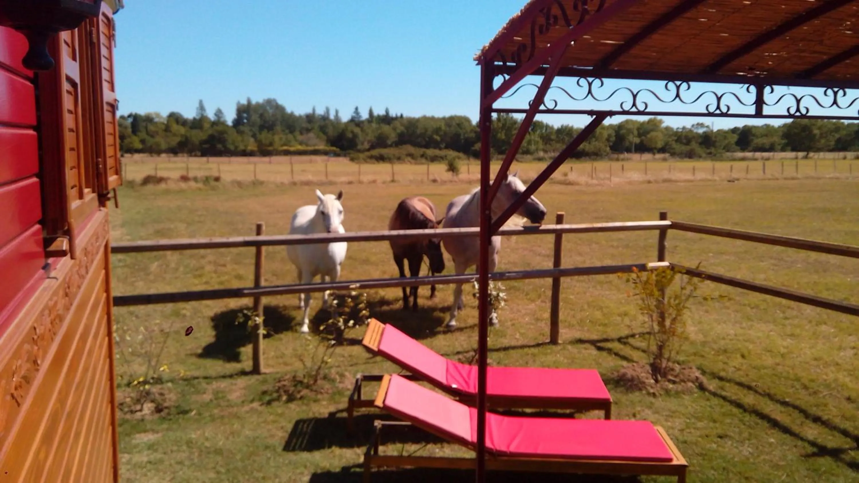 La Nanou'che (roulotte en Camargue)