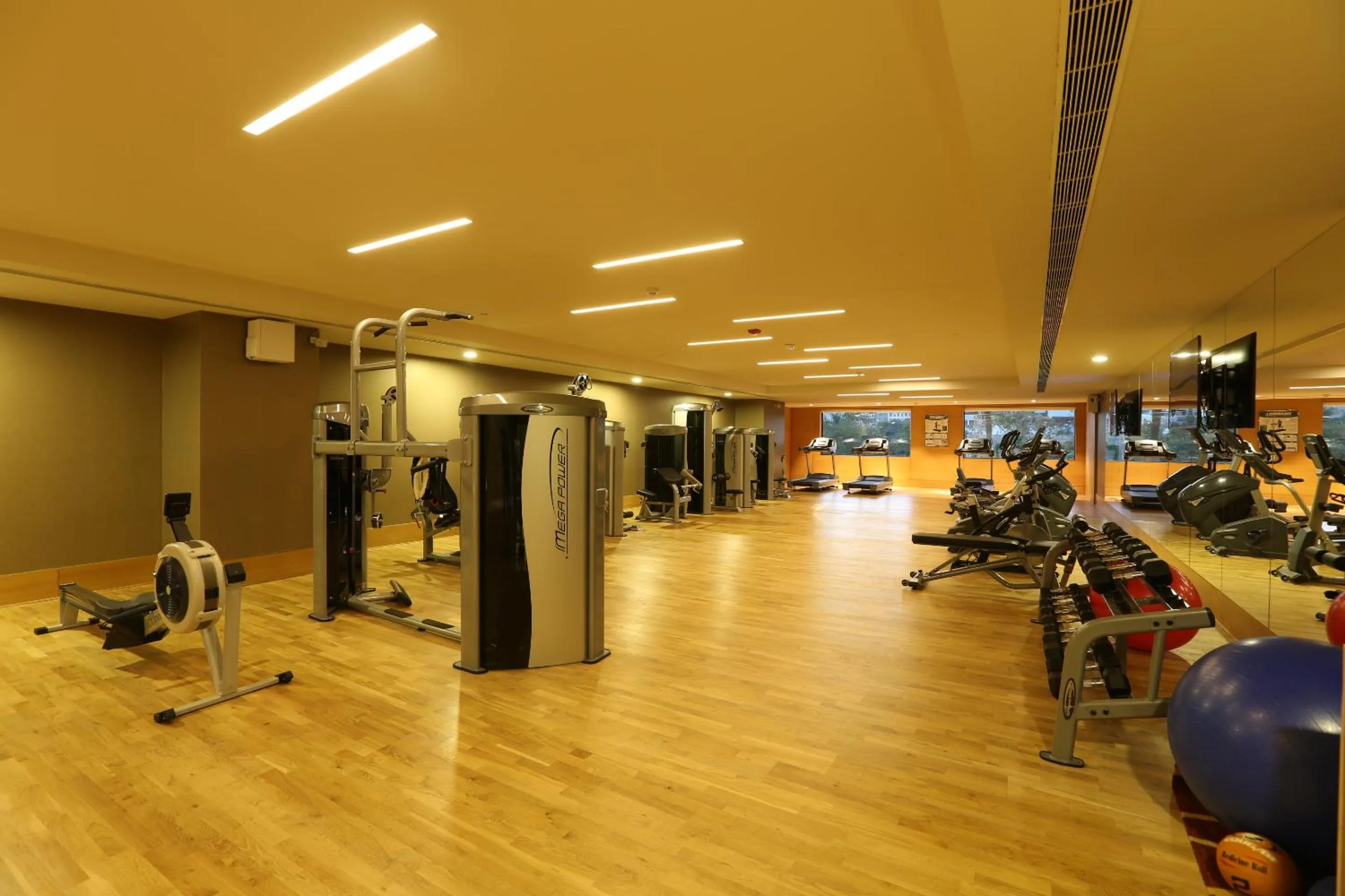 Fitness centre/facilities in Feathers- A Radha Hotel, Chennai