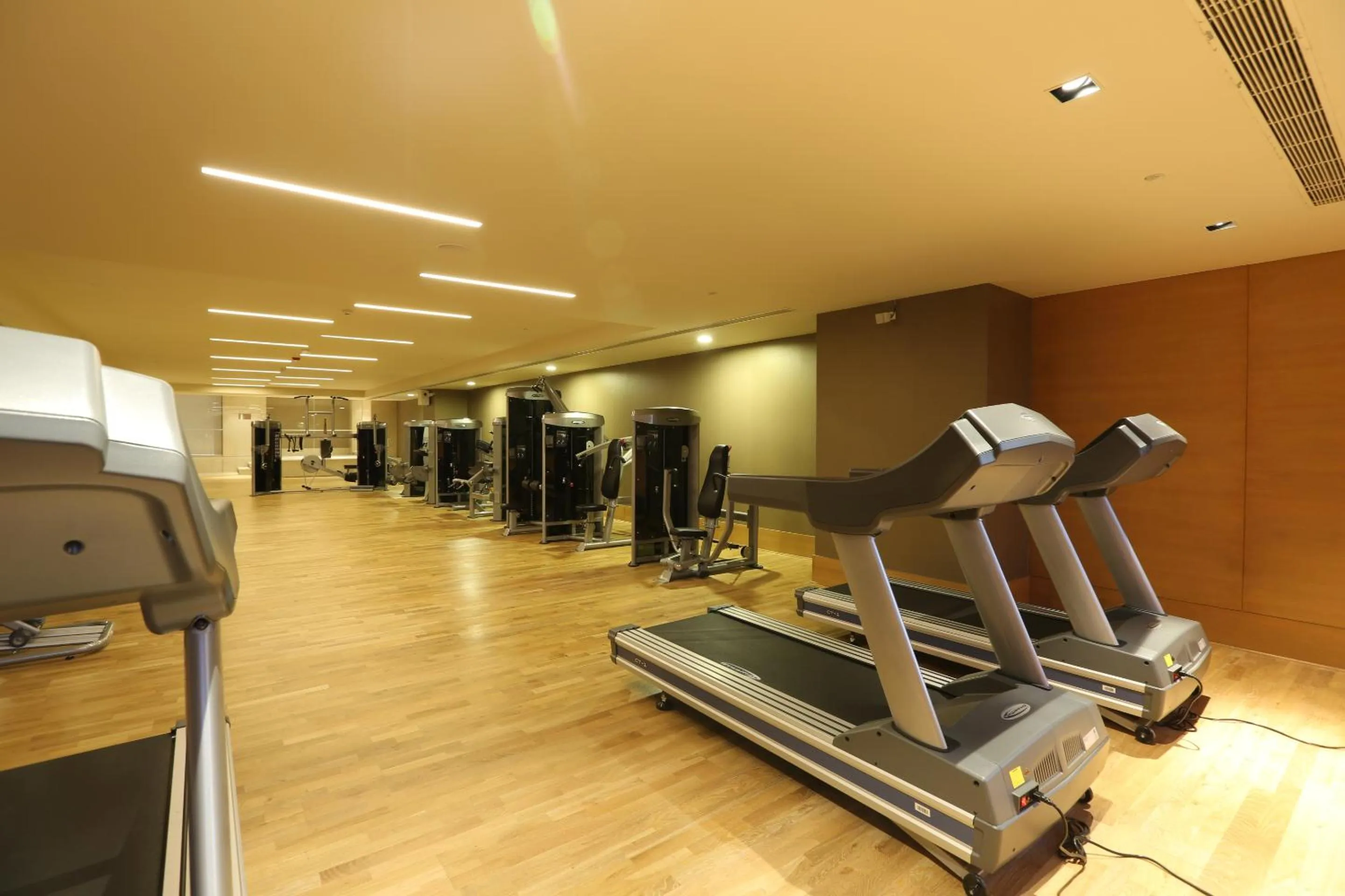 Fitness centre/facilities in Feathers- A Radha Hotel, Chennai