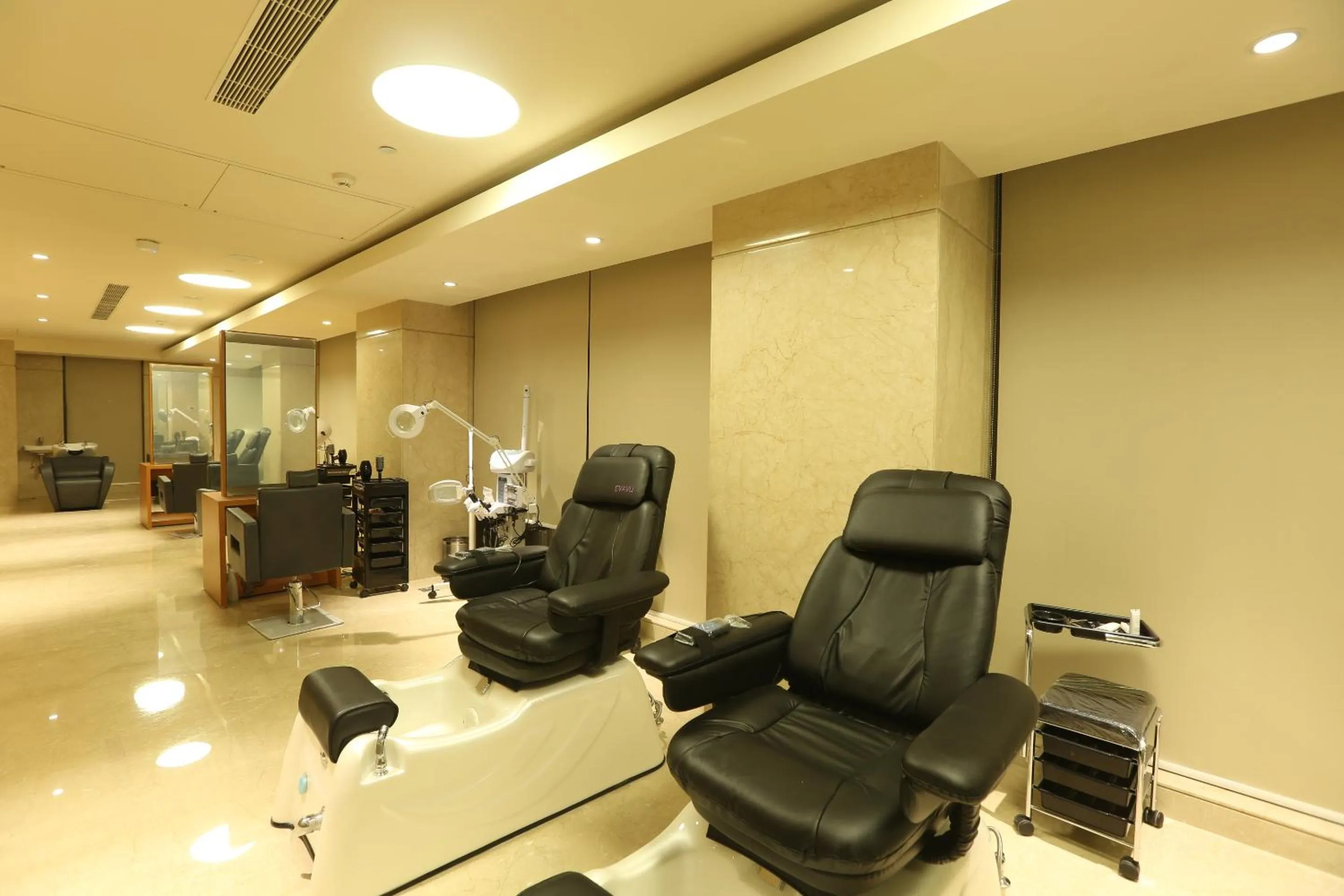 Spa and wellness centre/facilities in Feathers- A Radha Hotel, Chennai