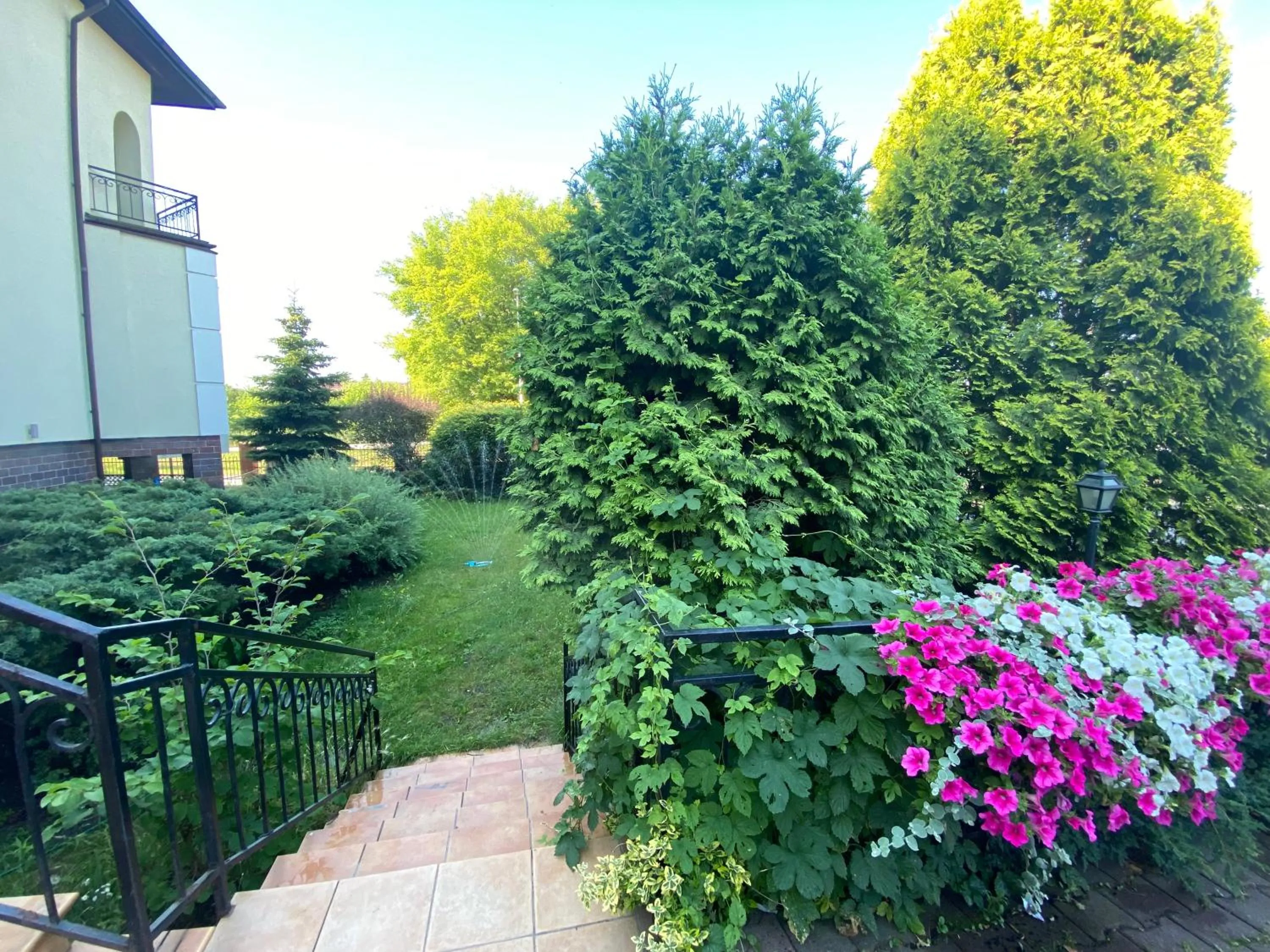 Garden in Hotel Arkadia