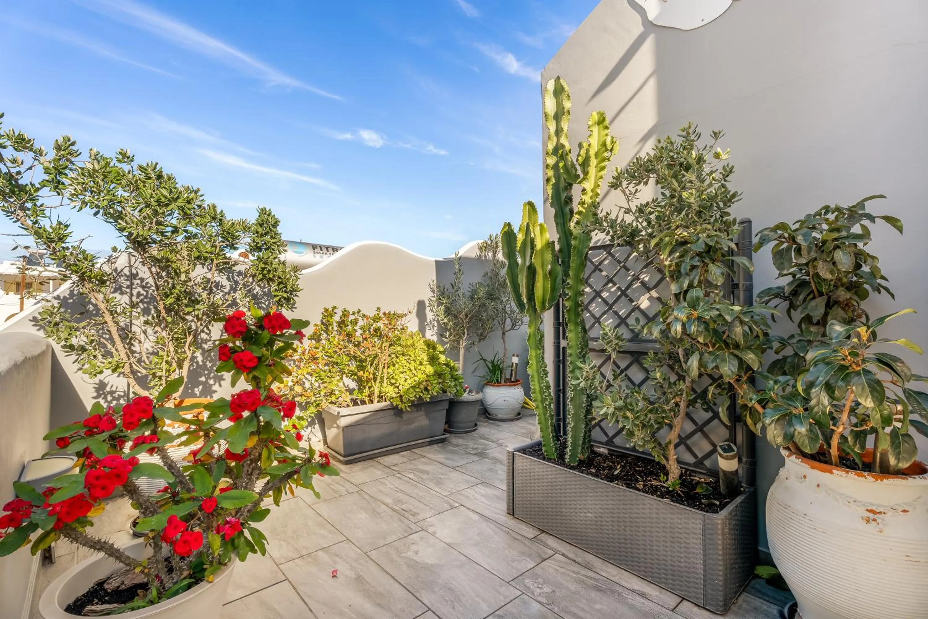 Patio in Oasis Hotel