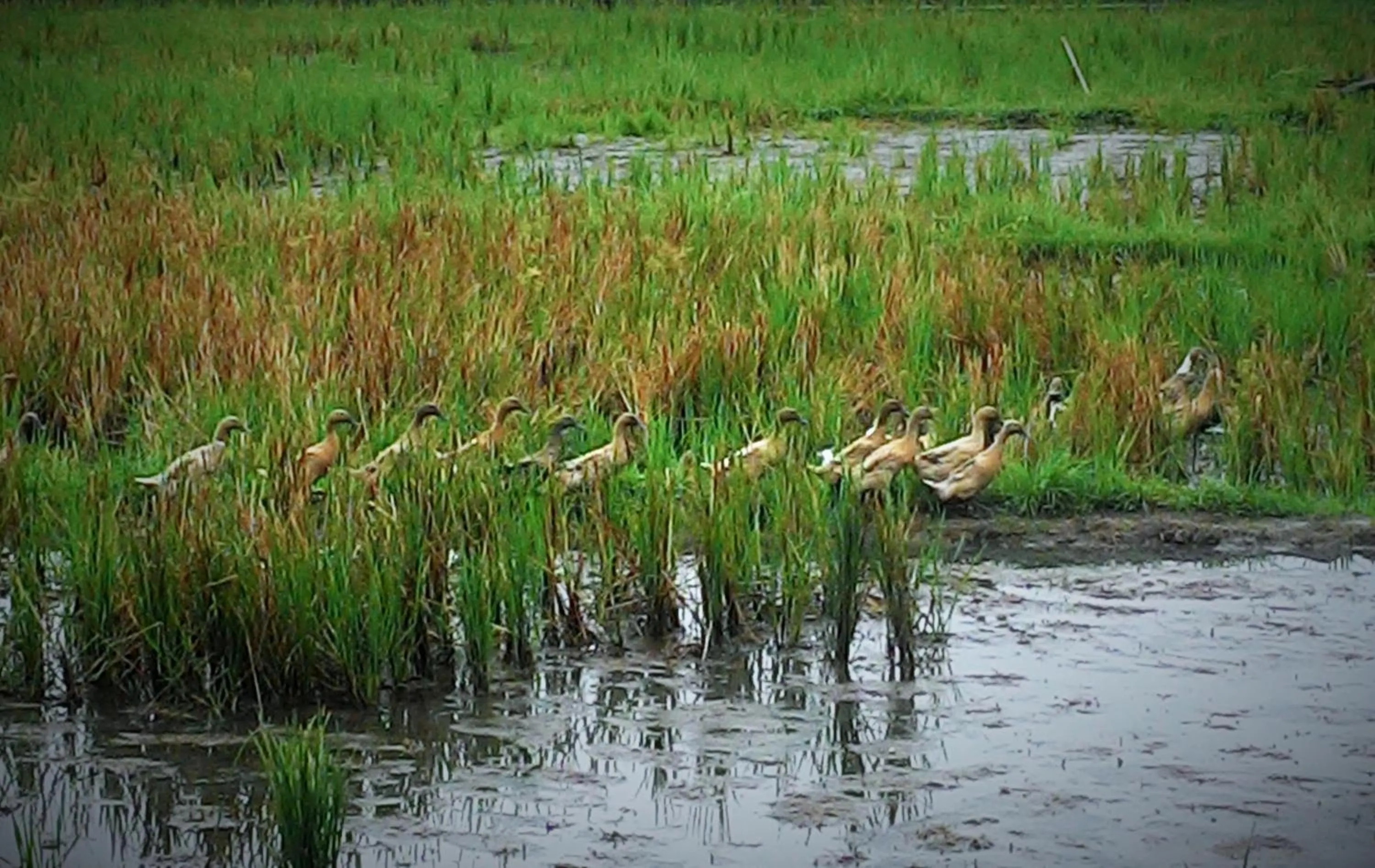 Hiking in Villa LeoNora