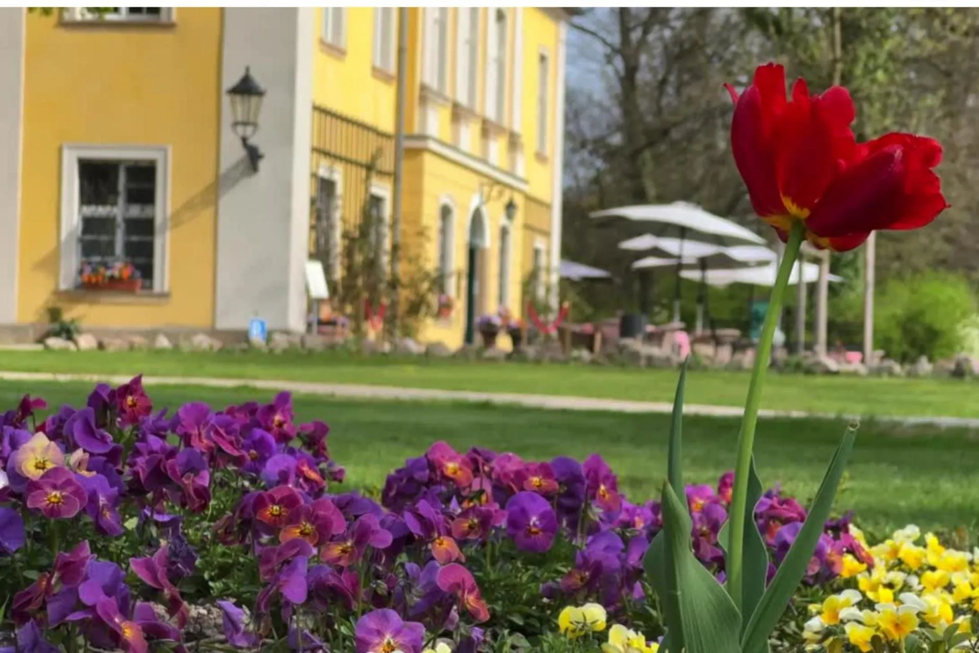 Property building in Pałac Łomnica Karkonosze - Schloss Lomnitz Riesengebirge