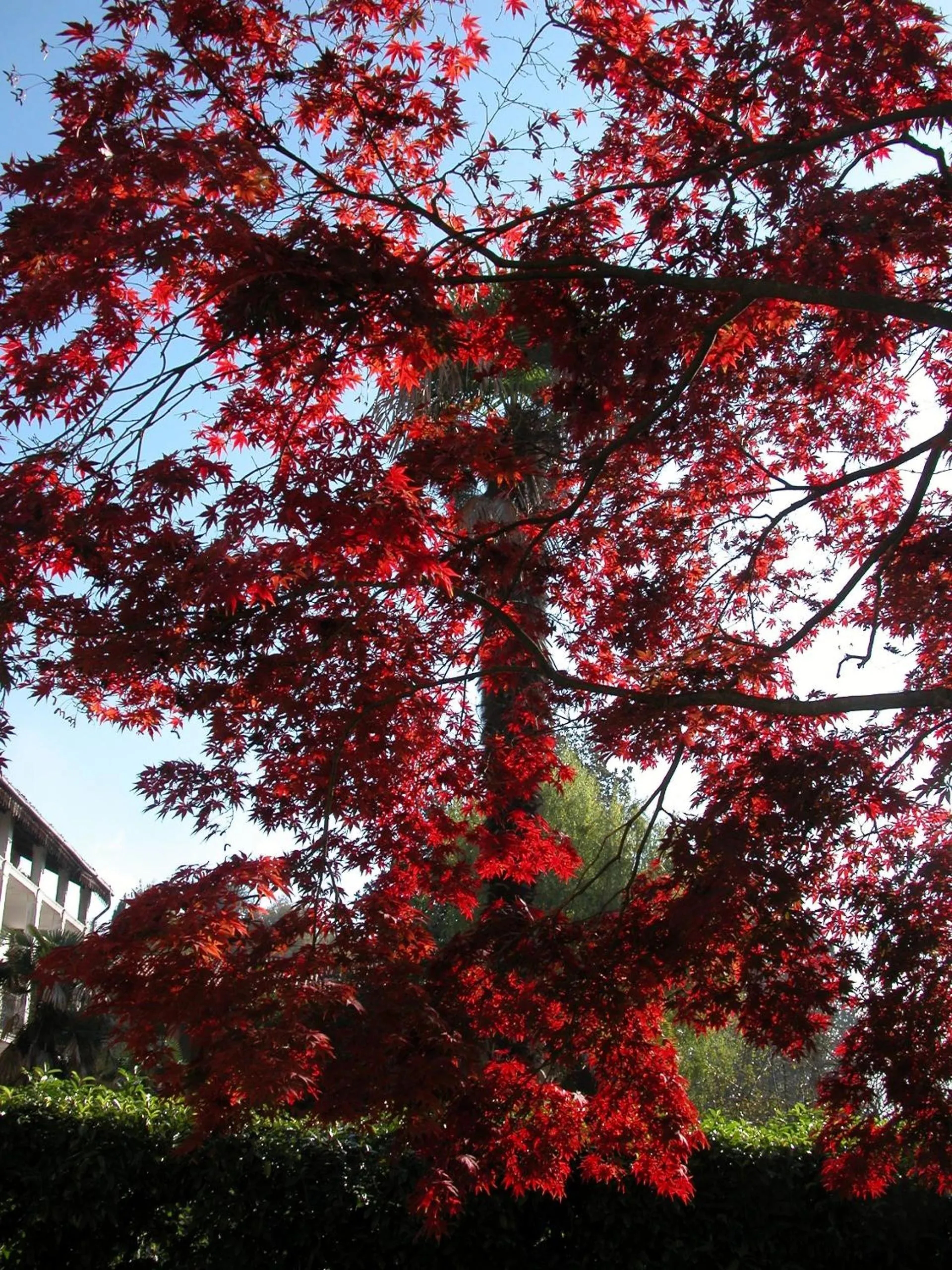 Other in Villa D'Azeglio