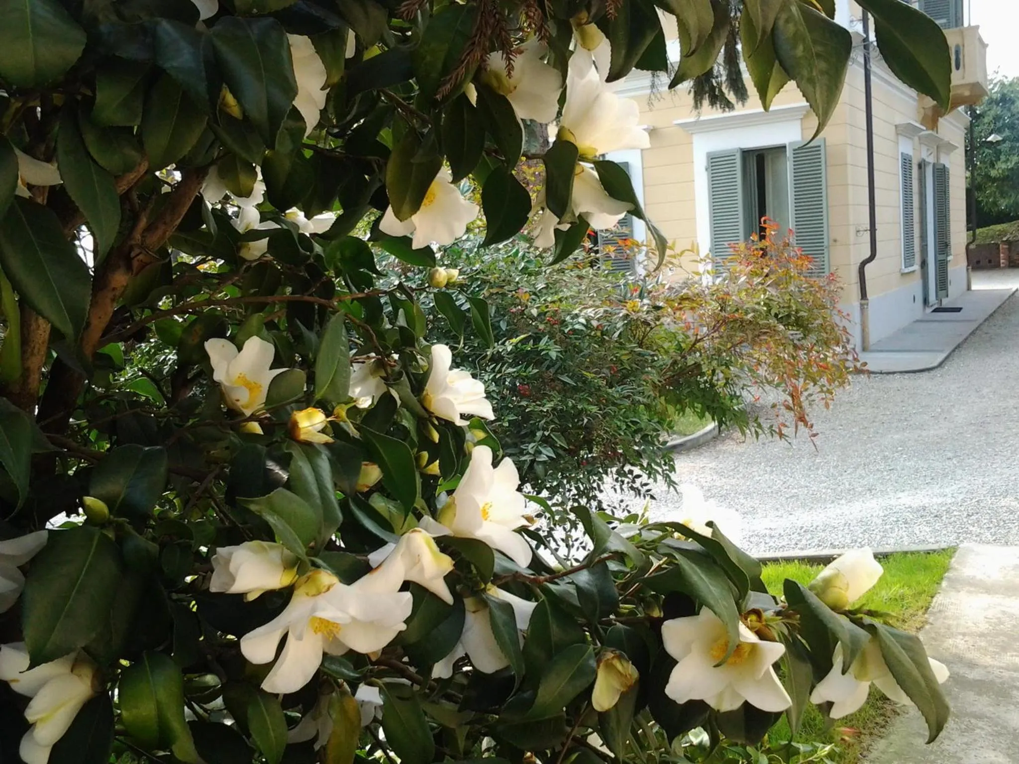 Garden in Villa D'Azeglio