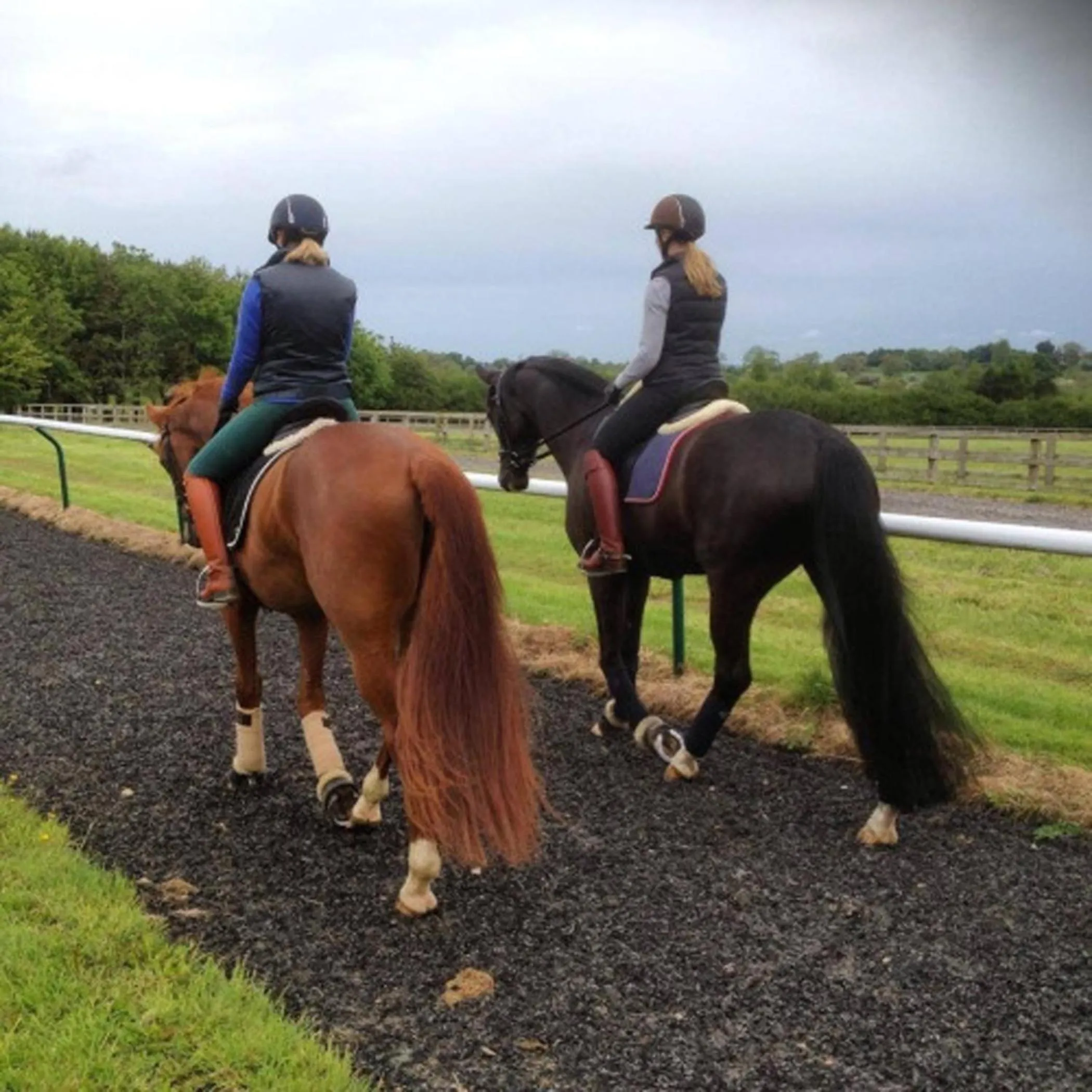 Horse-riding in Villa D'Azeglio