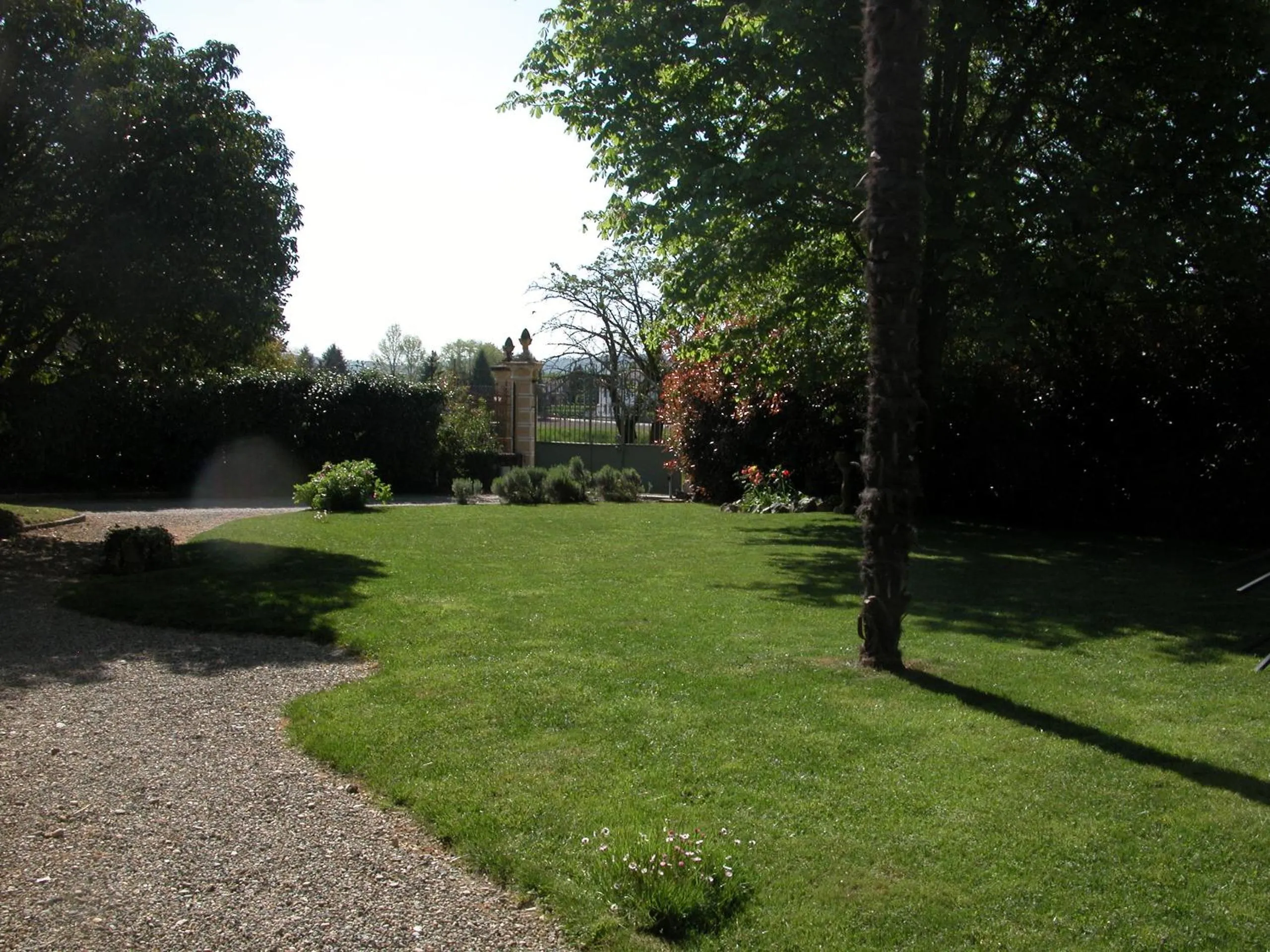 Garden in Villa D'Azeglio