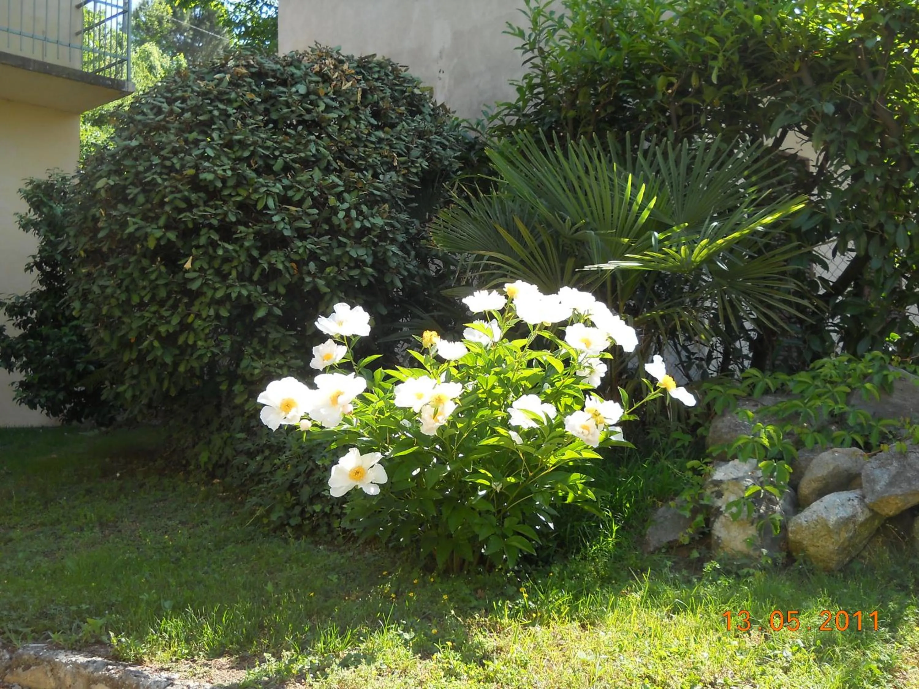 Garden in Villa D'Azeglio