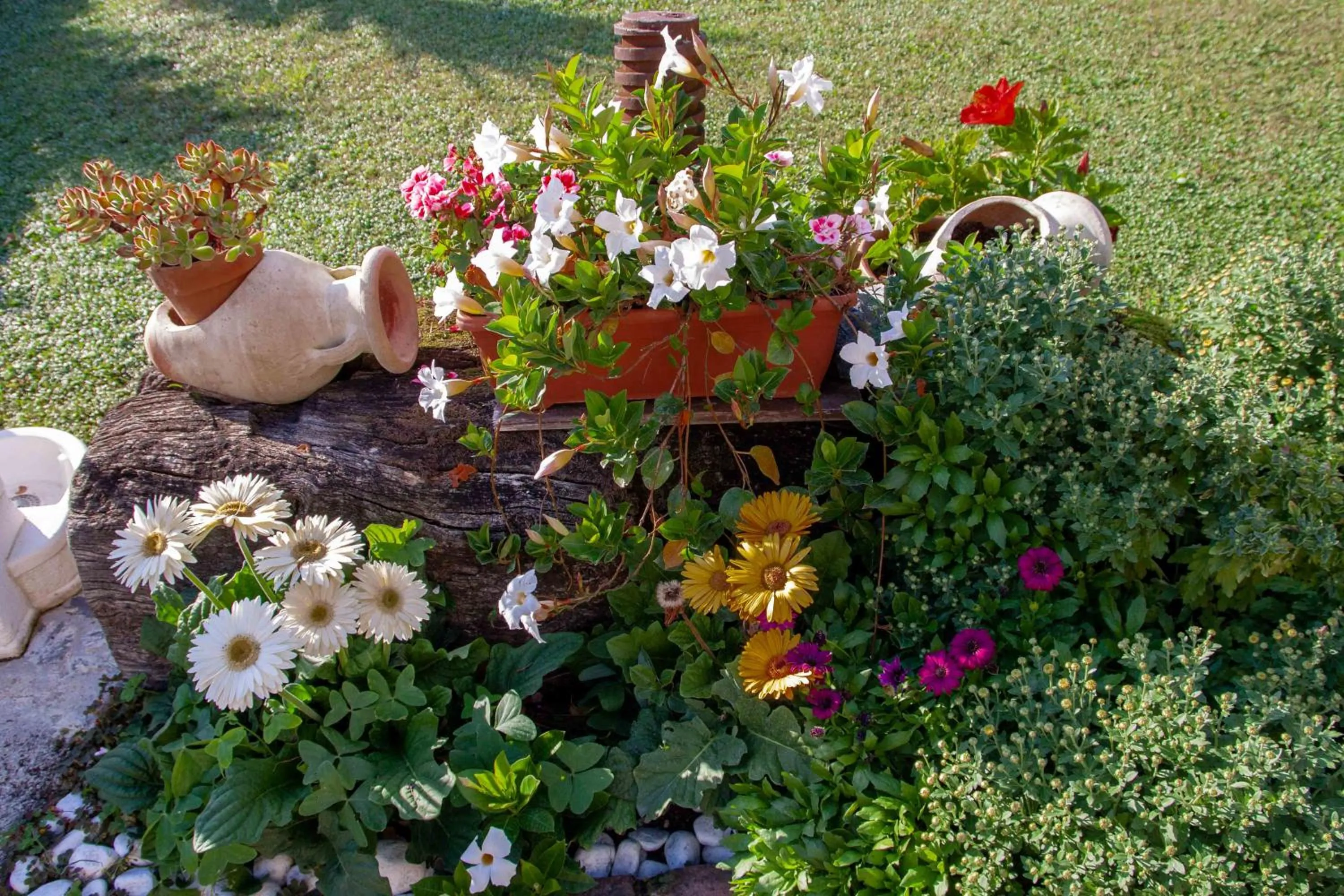 Garden in B&B Vignola